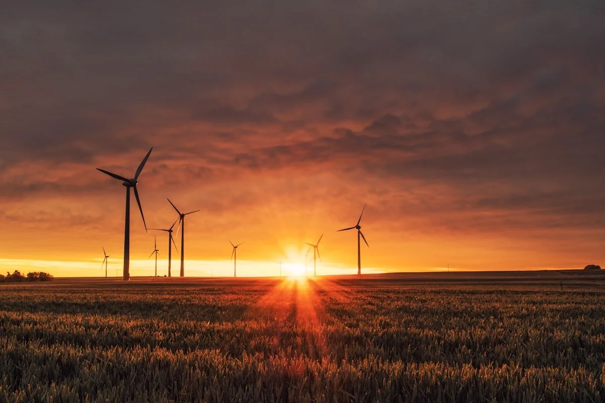 Wind turbines in a field during sunset with dramatic clouds in the sky.