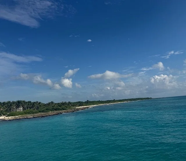 image5 (3).jpeg