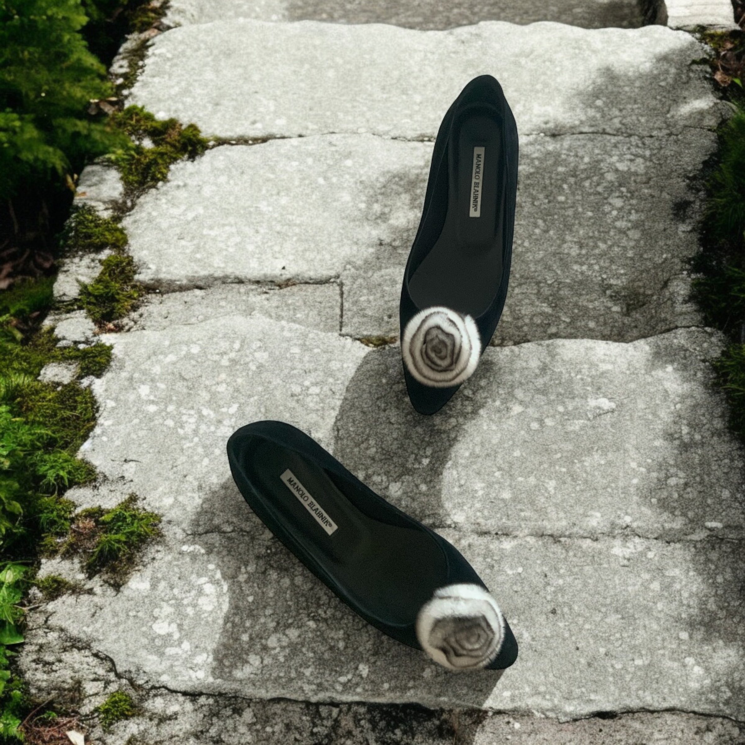 Photoroom_20240812_144716.jpeg