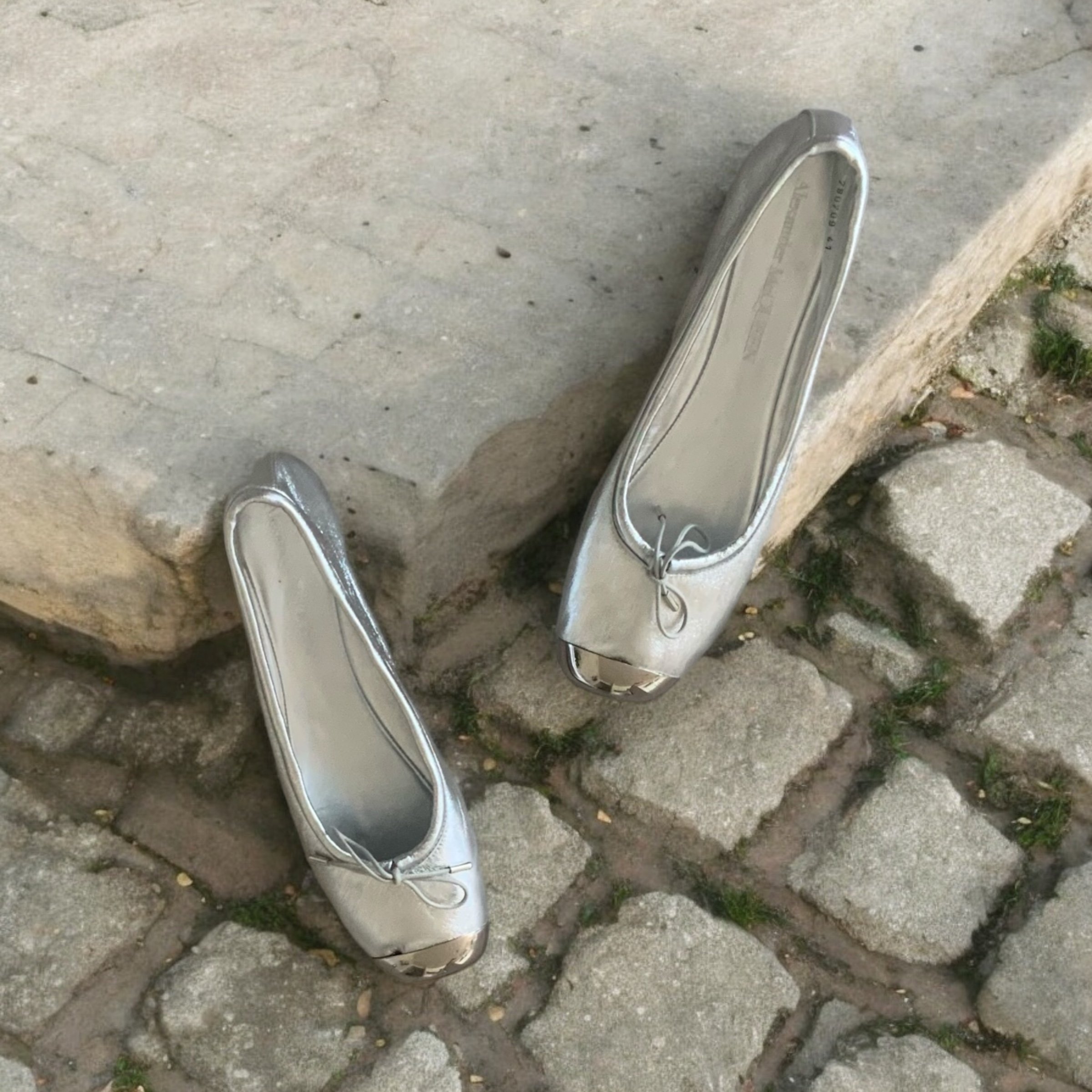Photoroom_20240810_100851.jpeg