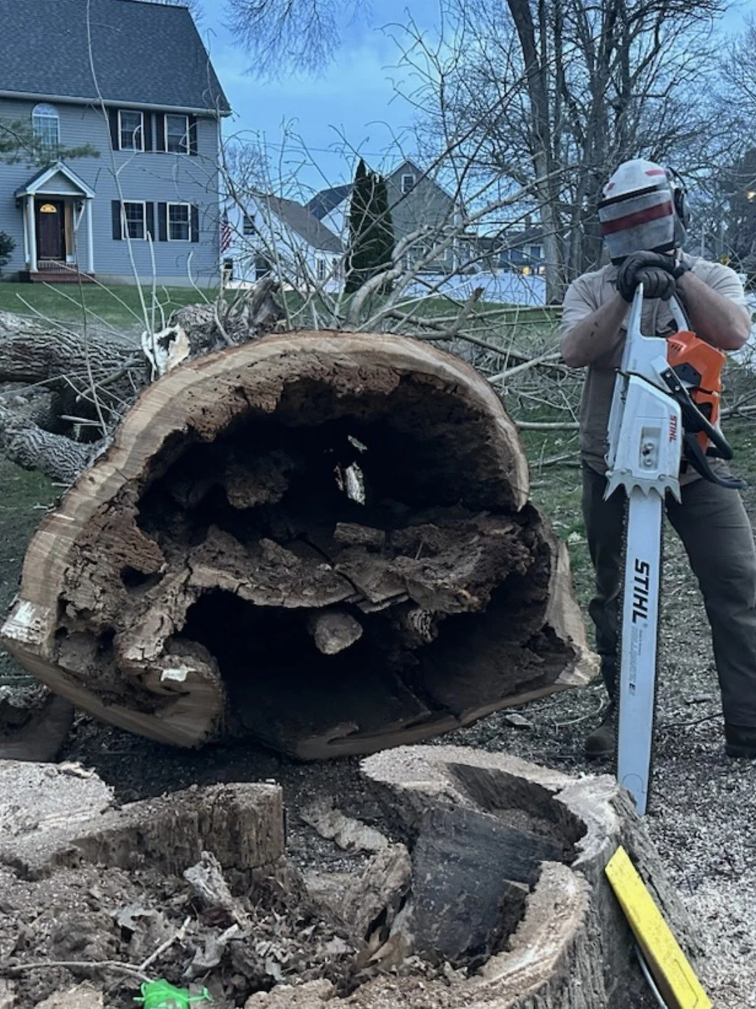 Duncan Gilbert wearing a helmet and gloves cutting a fallen large tree with a chainsaw outdoors in a residential neighborhood with houses and a few leafless trees in the background. Red Line Tree Care. Seacoast NH.