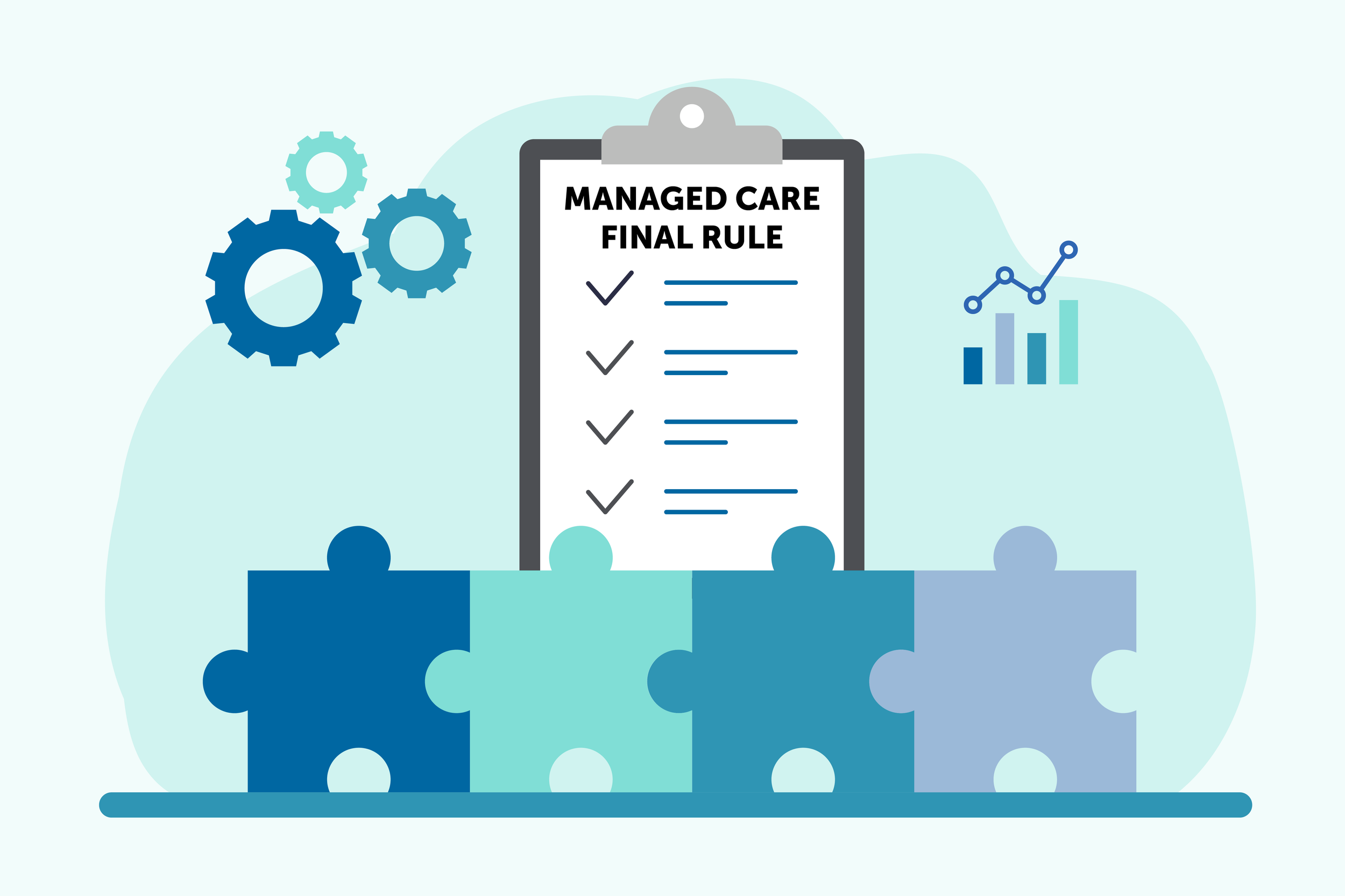 Beyond Compliance: State Leadership Under the Medicaid Managed Care Final Rule