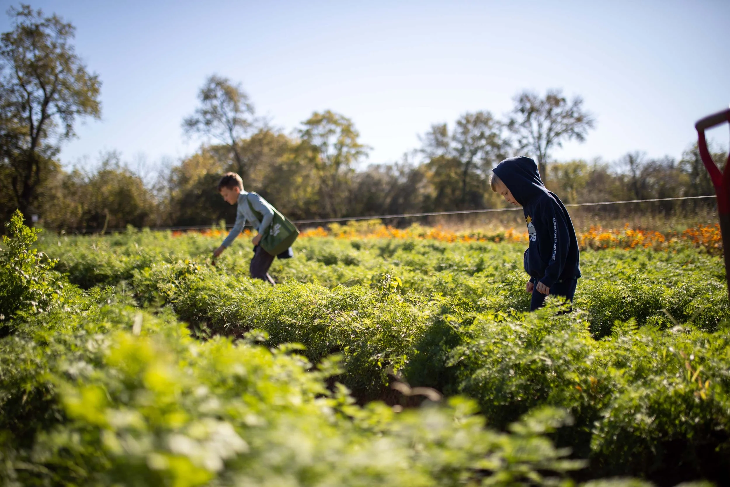 JuliaKeim_Farmshare_Dec2025-5467.jpg