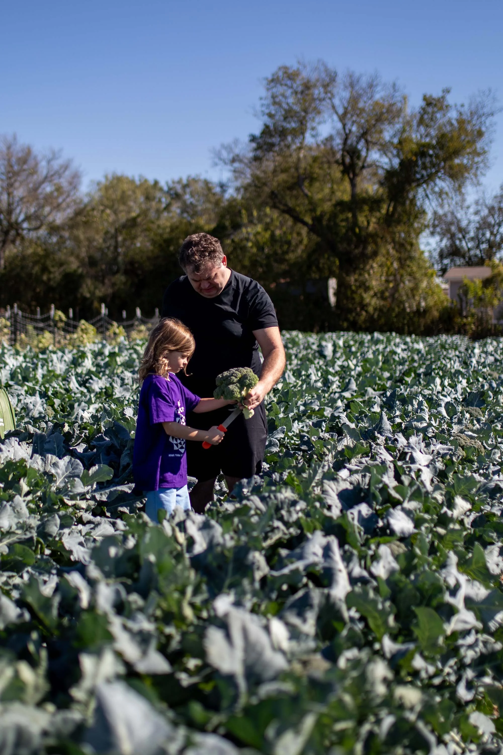 JuliaKeim_Farmshare_Dec2025-5737.jpg