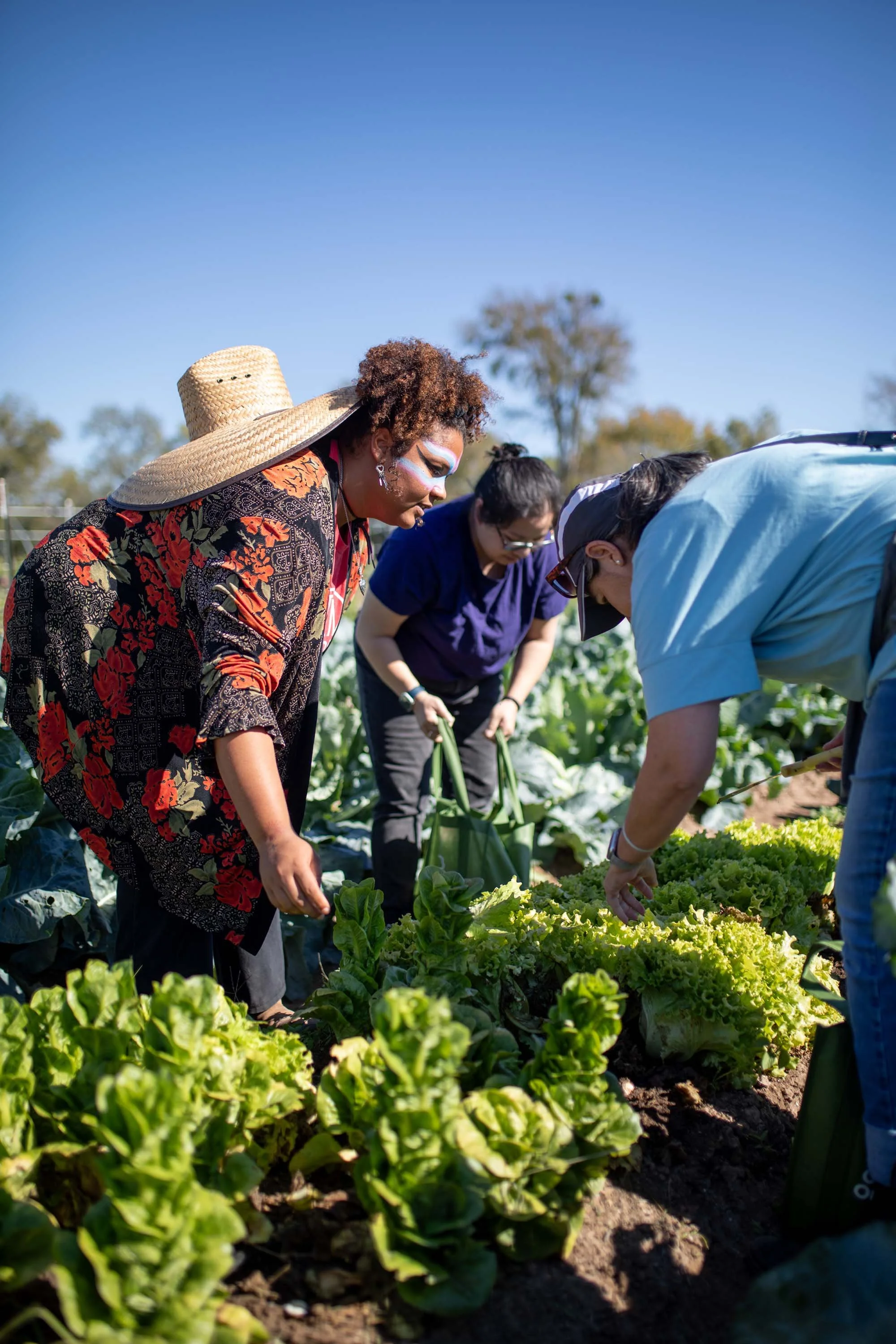 JuliaKeim_Farmshare_Dec2025-5751.jpg