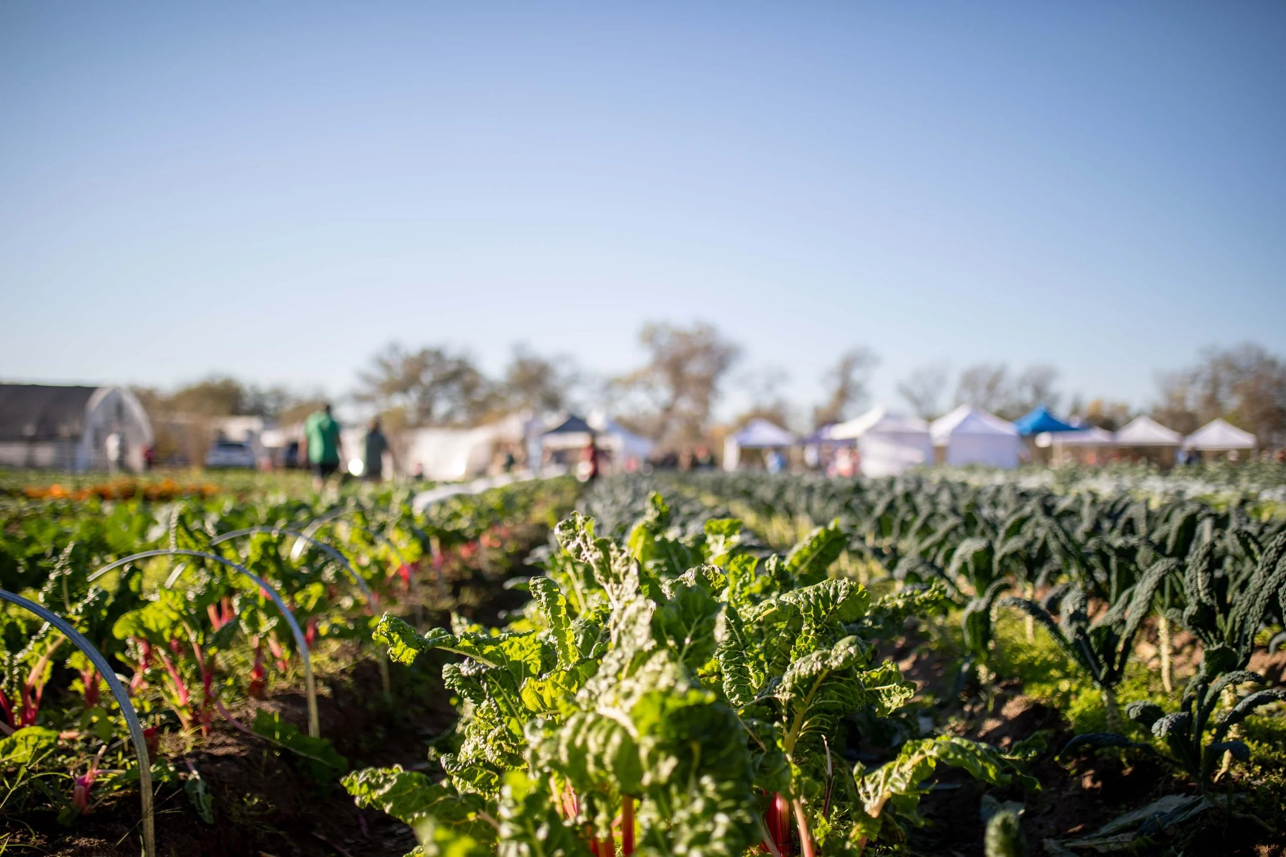 JuliaKeim_Farmshare_Dec2025-6381.jpg