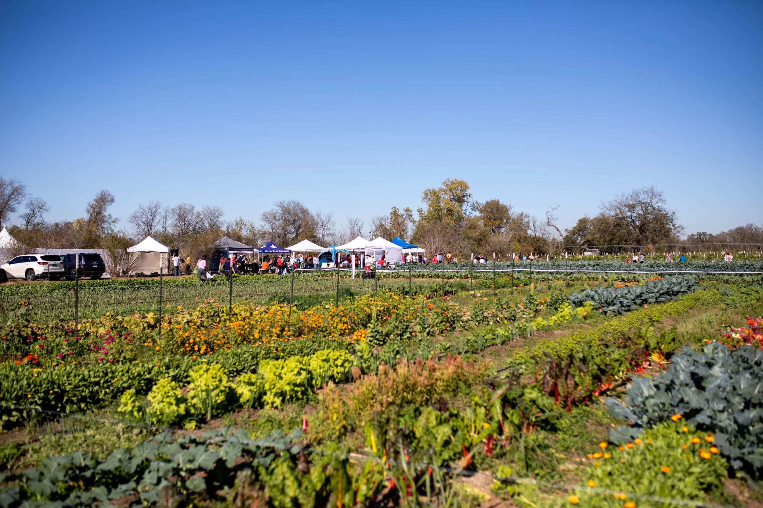JuliaKeim_Farmshare_Dec2025-5779.jpg