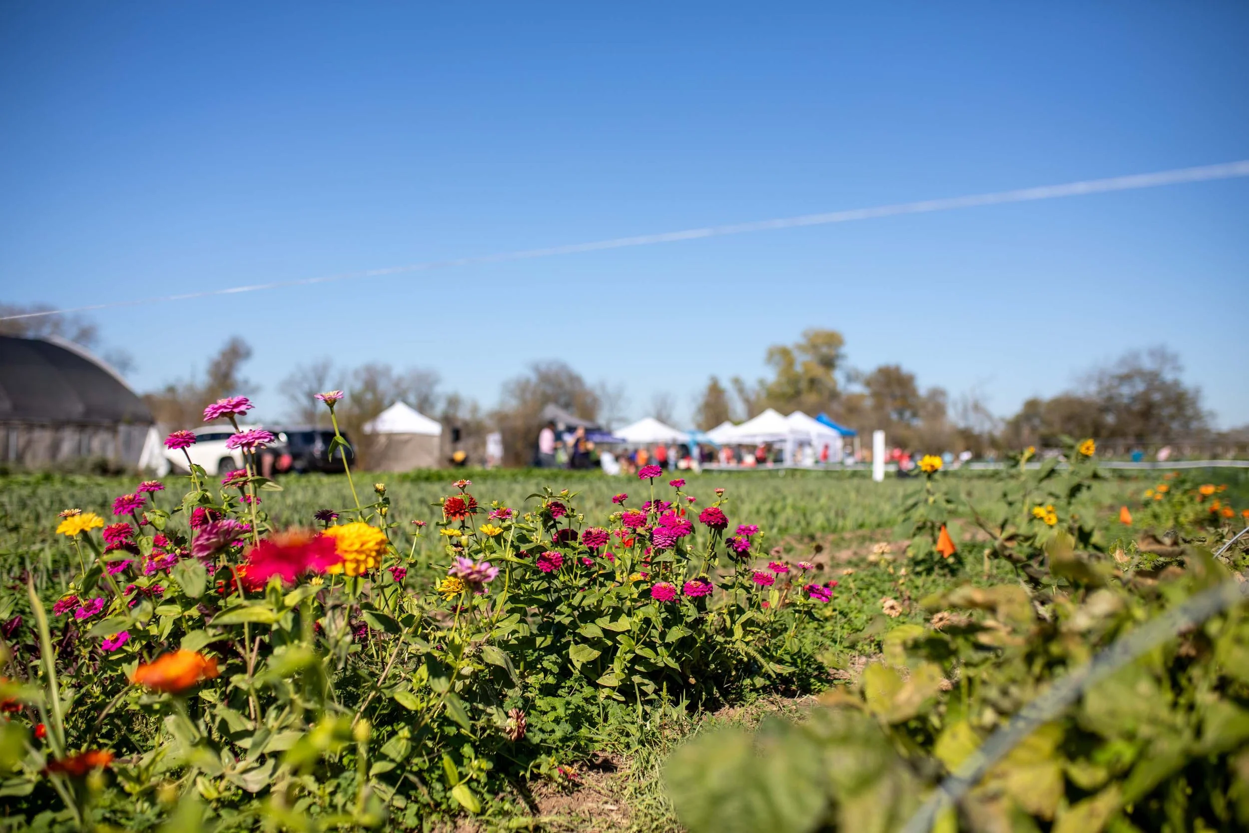JuliaKeim_Farmshare_Dec2025-5775.jpg