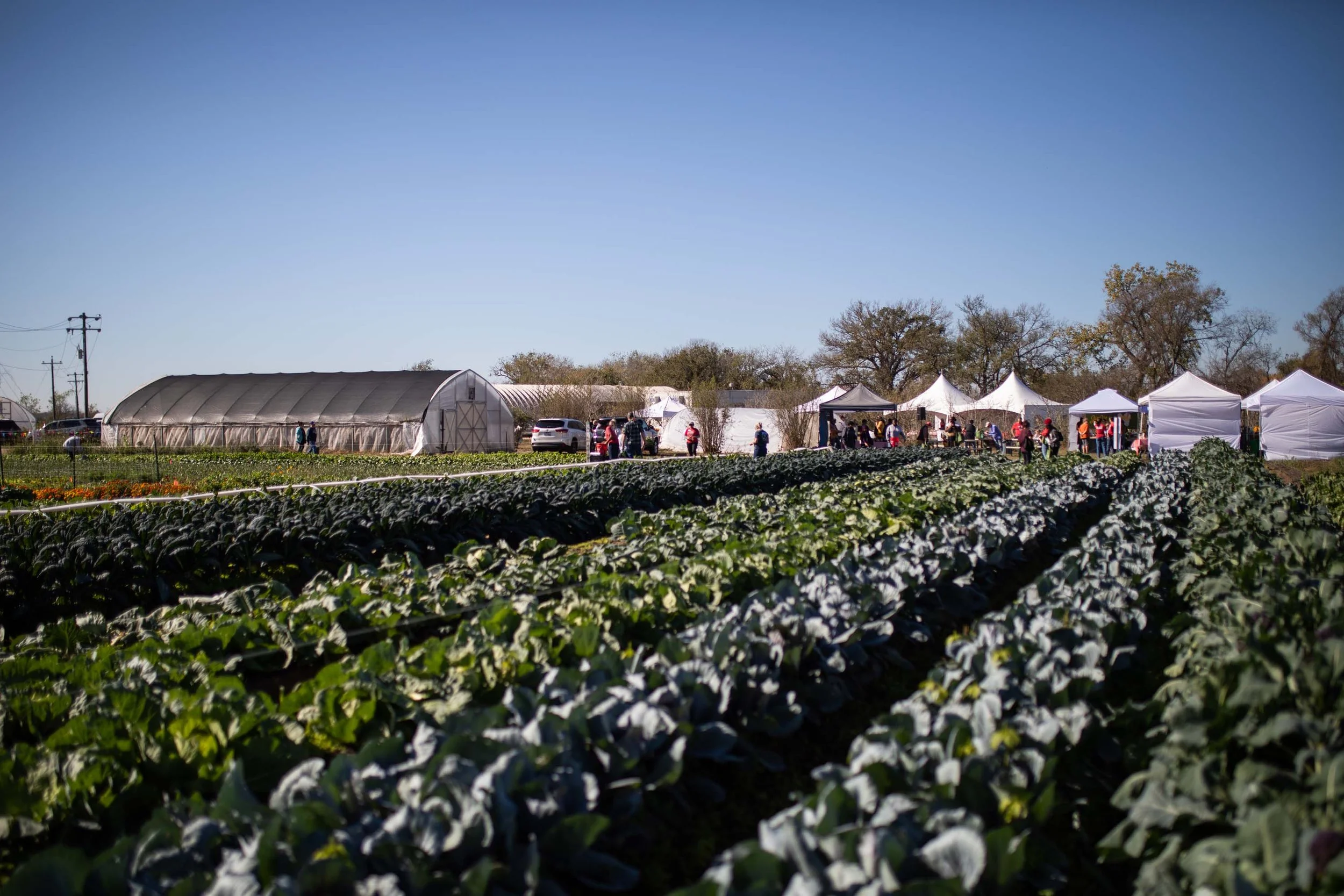 JuliaKeim_Farmshare_Dec2025-5819.jpg