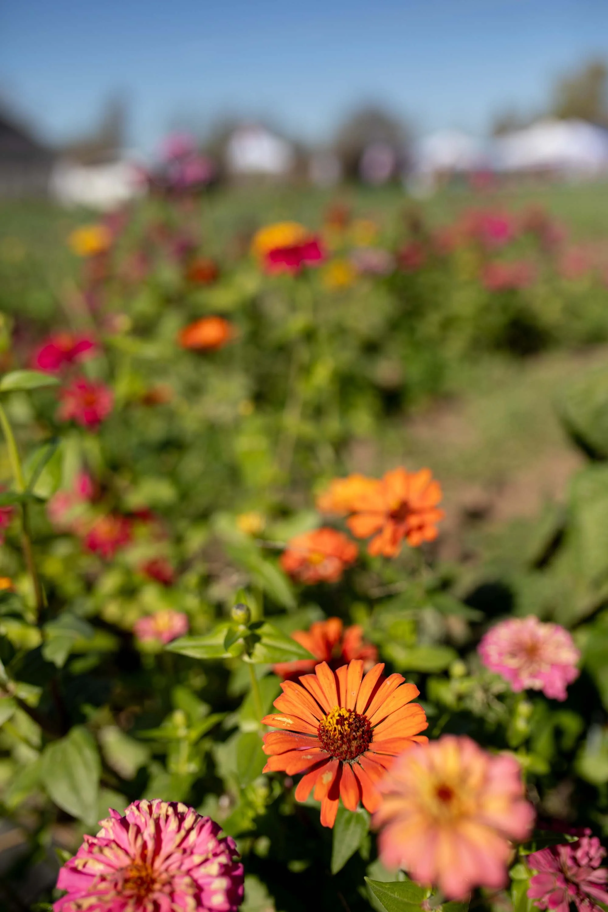 JuliaKeim_Farmshare_Dec2025-5776.jpg