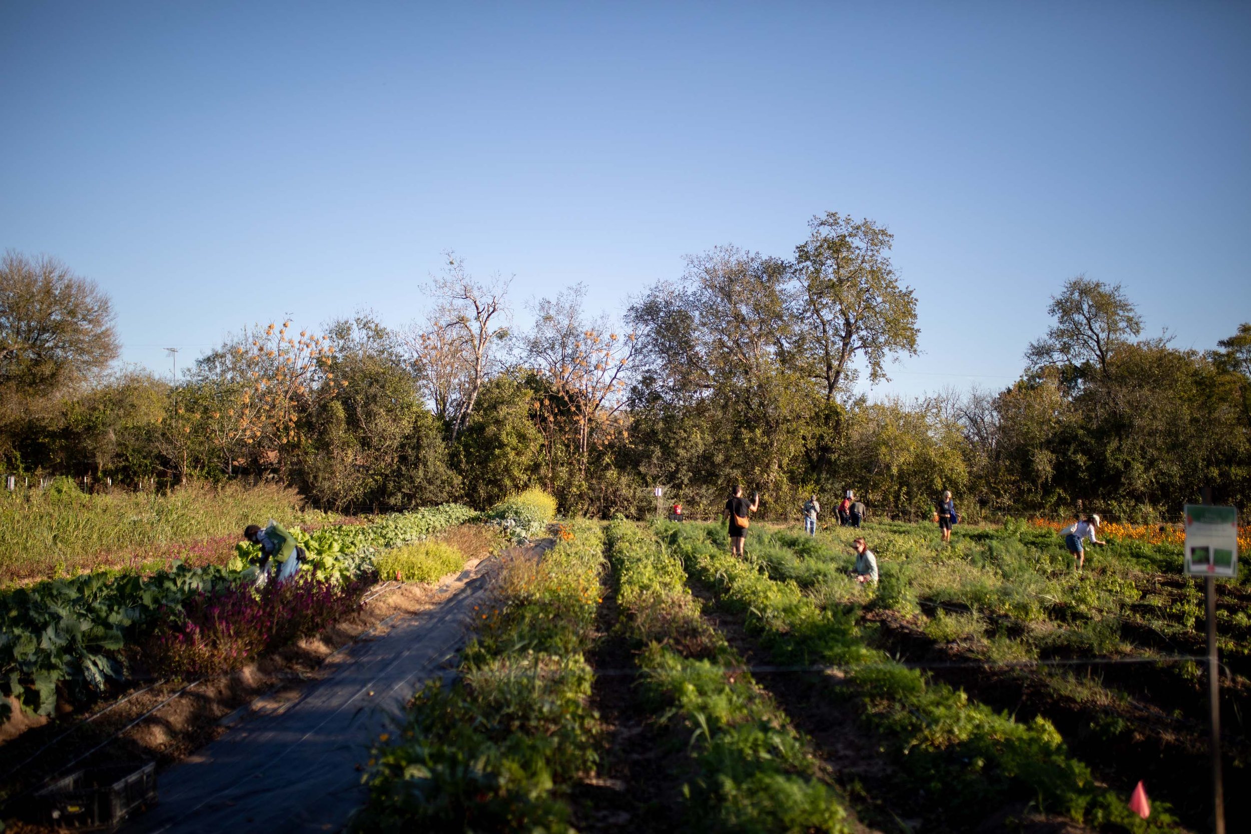 JuliaKeim_Farmshare_Dec2025-6359.jpg