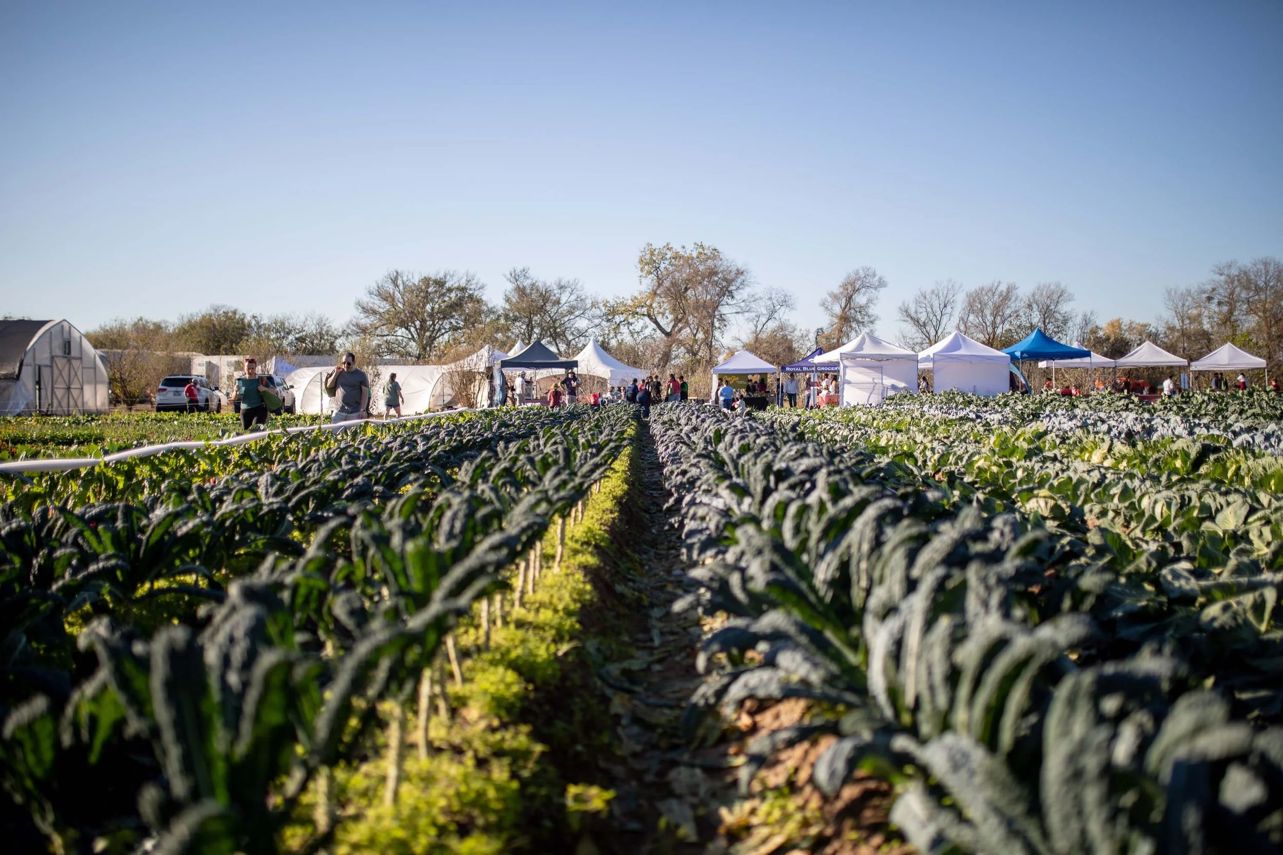 JuliaKeim_Farmshare_Dec2025-6384.jpg