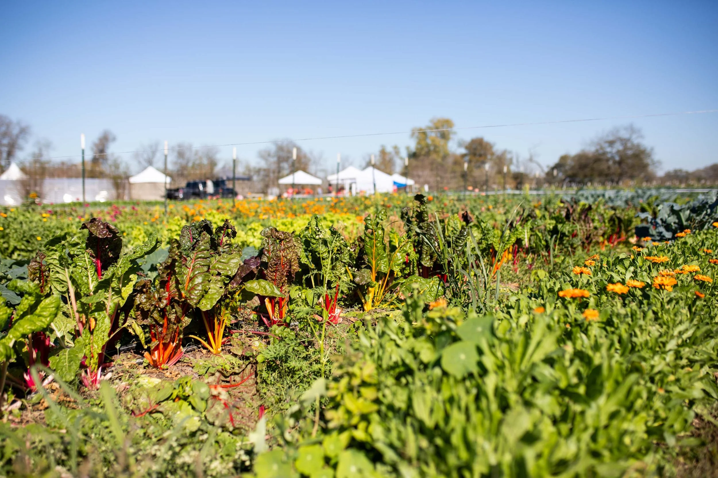 JuliaKeim_Farmshare_Dec2025-5160.jpg