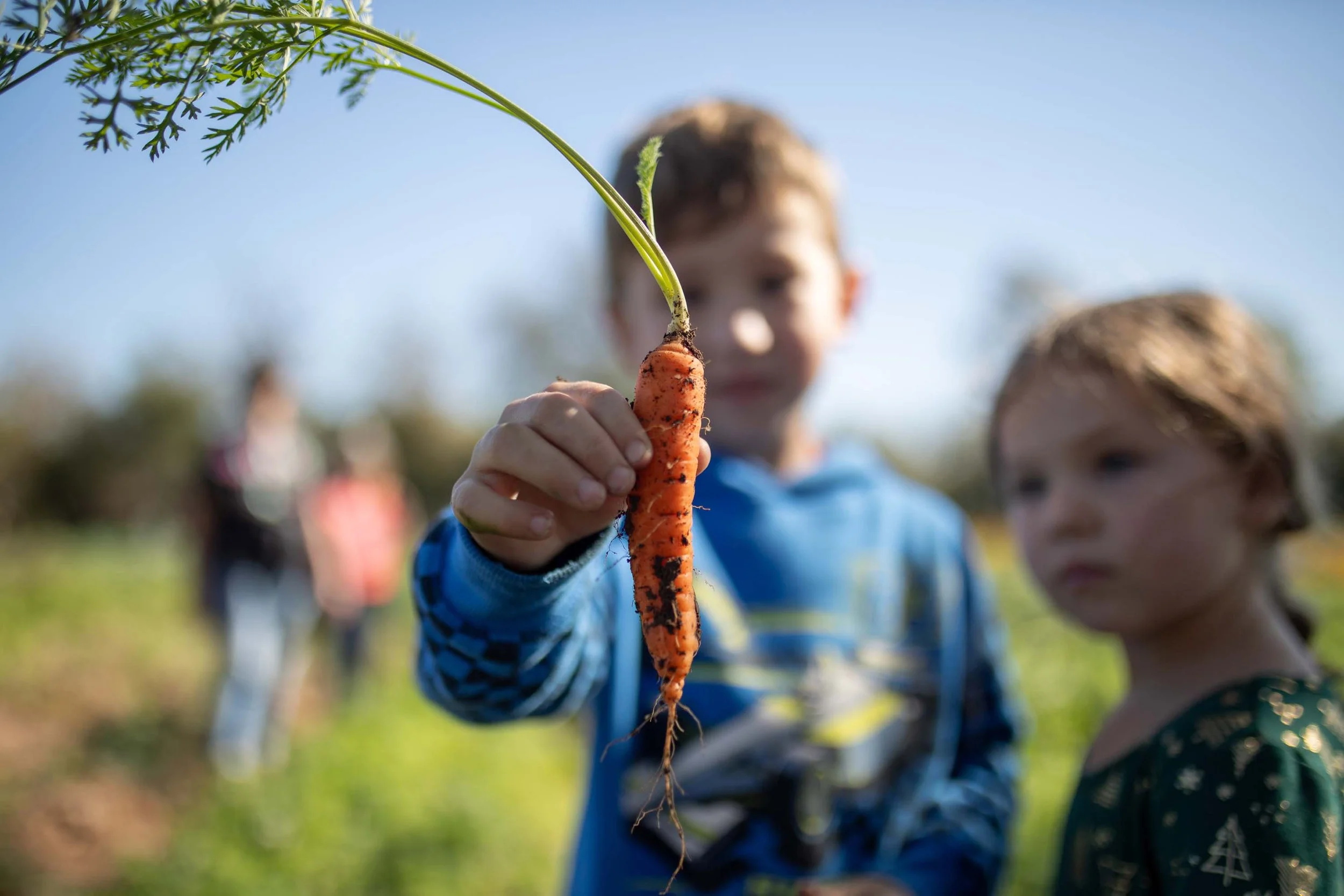 JuliaKeim_Farmshare_Dec2025-5678.jpg
