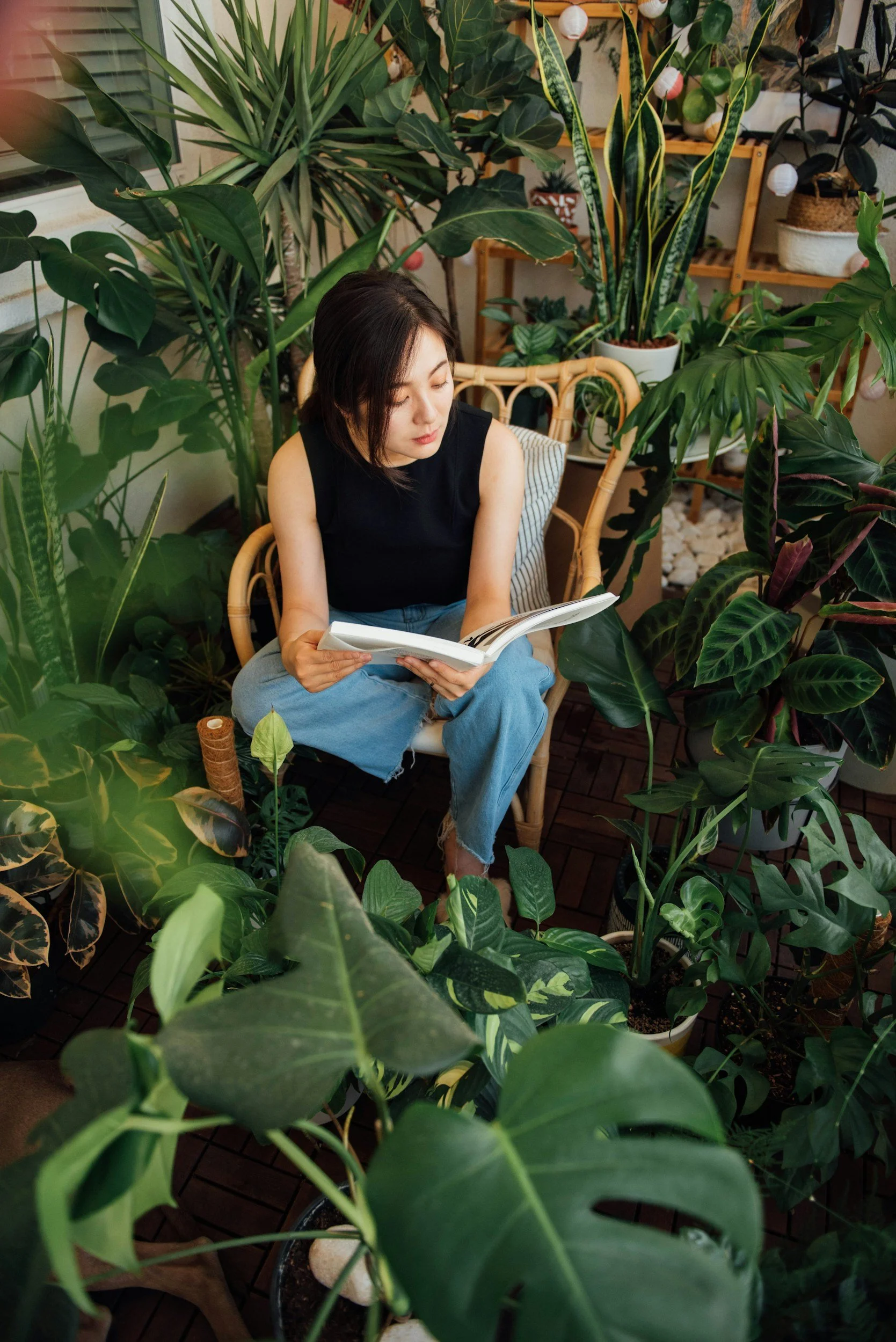 A young woman reading a book while sitting in a wicker chair surrounded by lush green houseplants in a cozy indoor garden or living space.