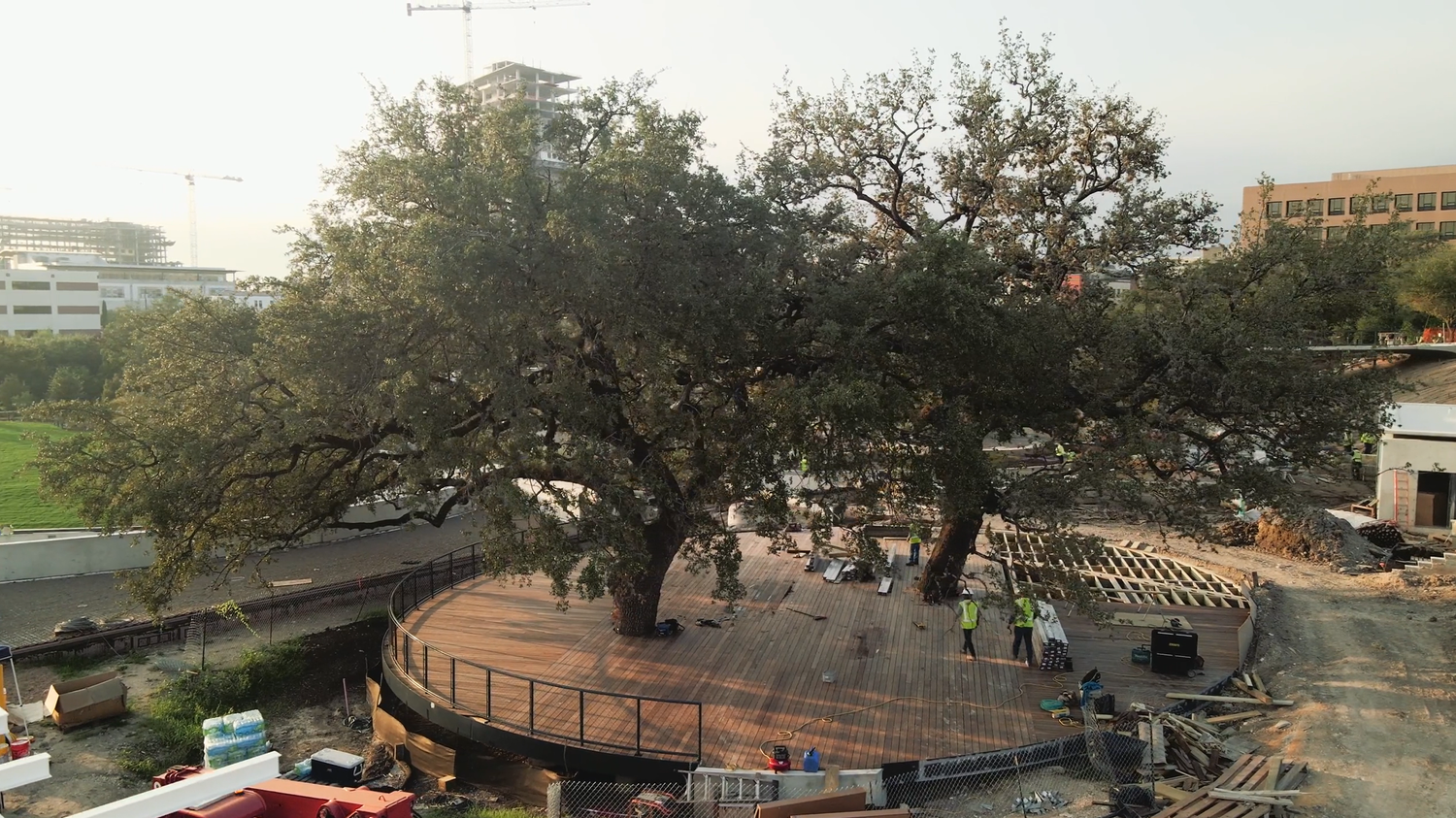 Waterloo decking & cladding by Forsite Studio — construction of circular wood platform around large oak tree with downtown cranes and workers — Austin, TX