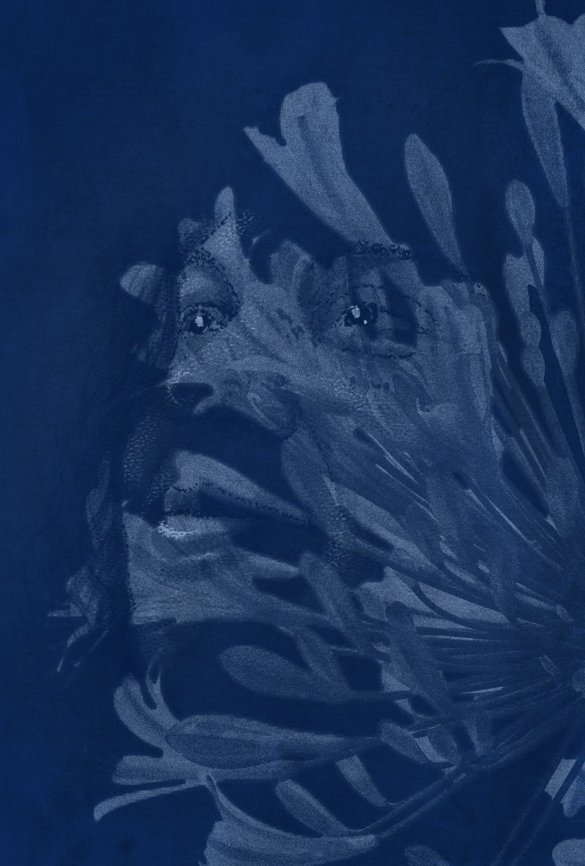 Poster illustration.jpg