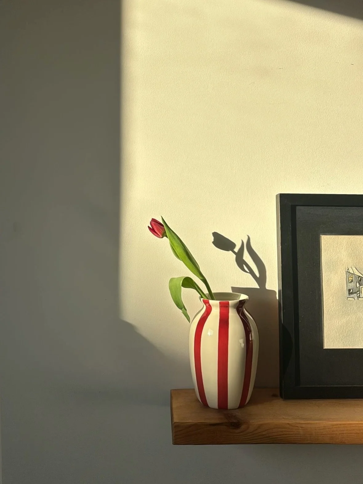 🤍 December 🤍
(Third time&rsquo;s a charm due to some kind of very un-festive glitch)
Feat. baby boy Barolo in a bow and the world&rsquo;s softest tum 🎀