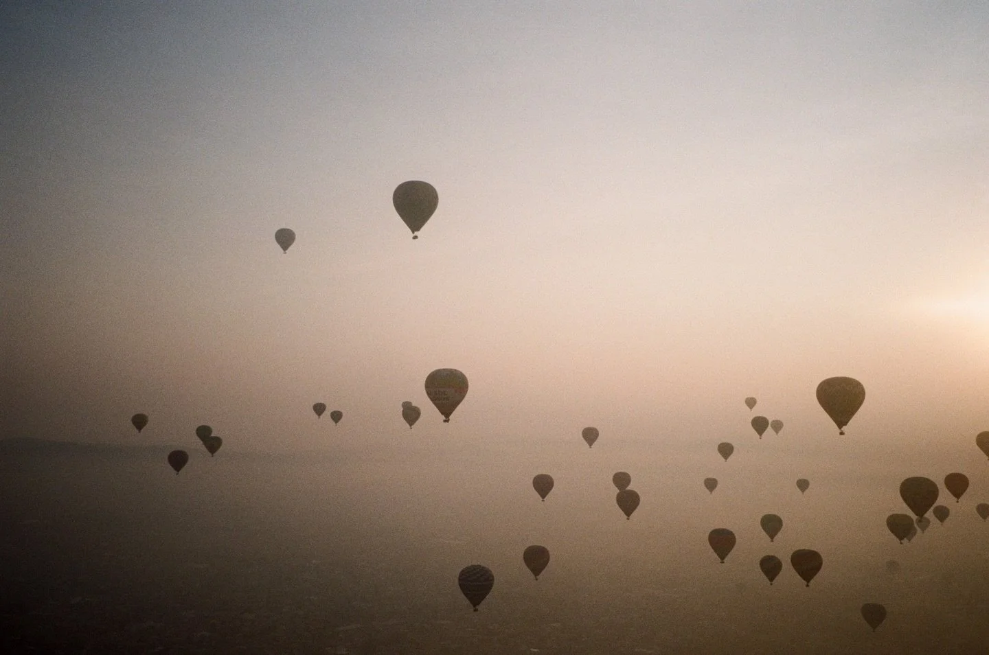 Tequila mocking birds 🤍
Mexico on film - a total beauty queen 🎞️