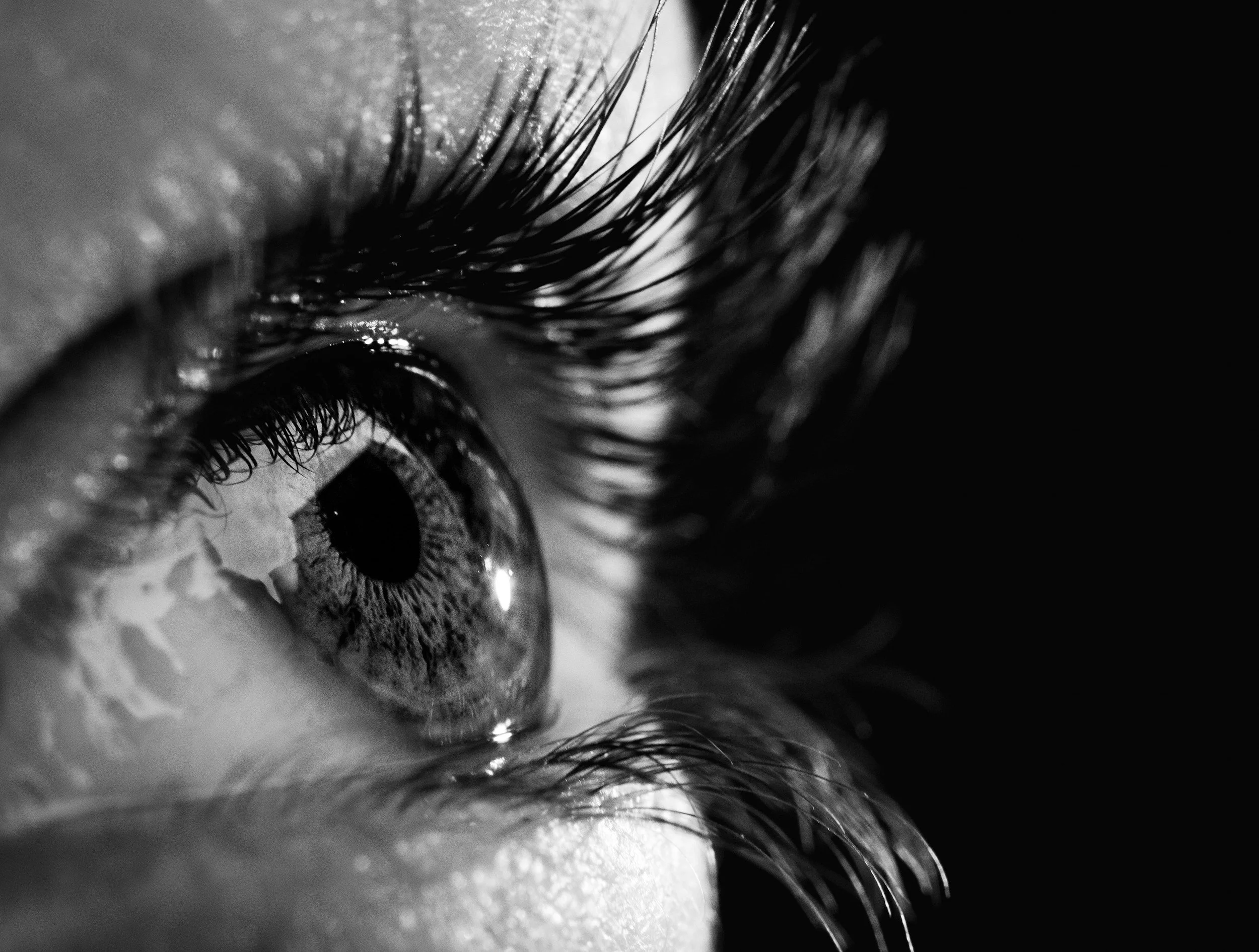 What the Eyes Can Tell