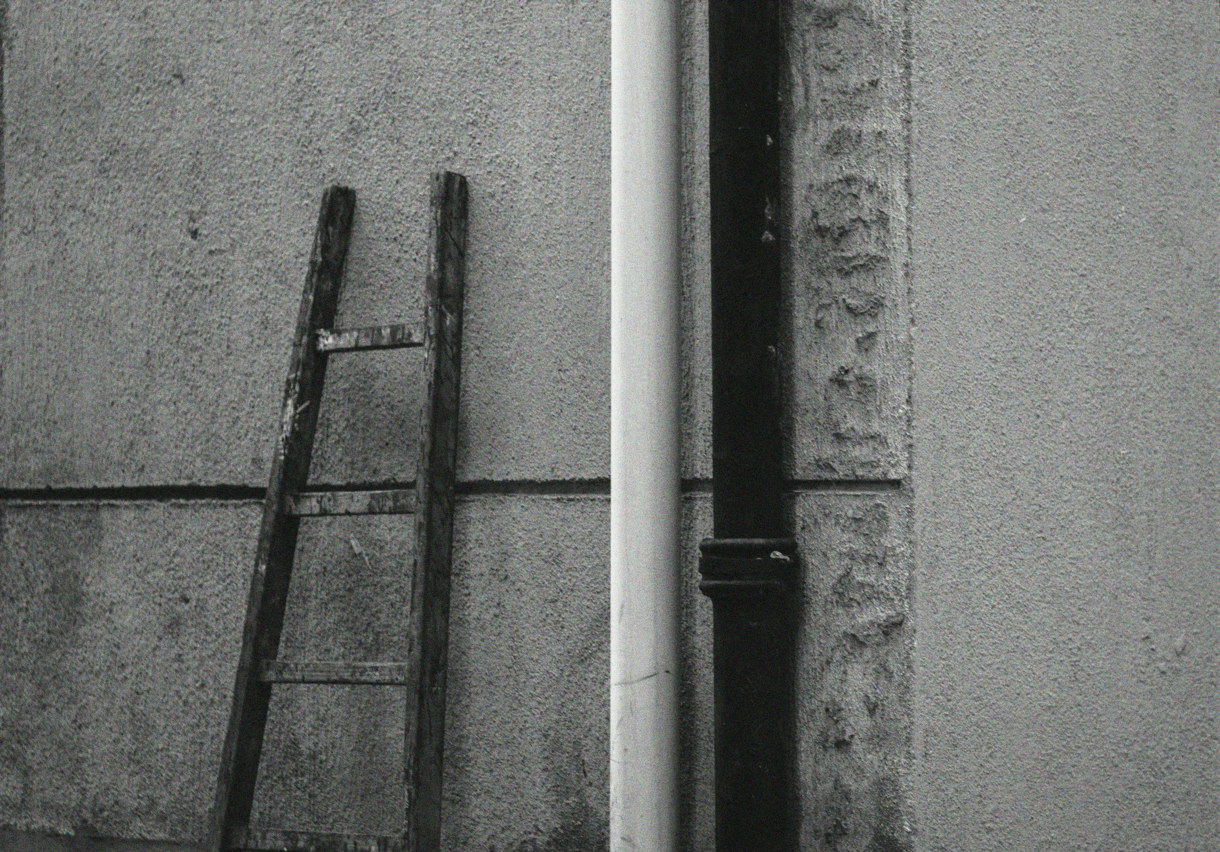 THE LADDERS WE CLIMB