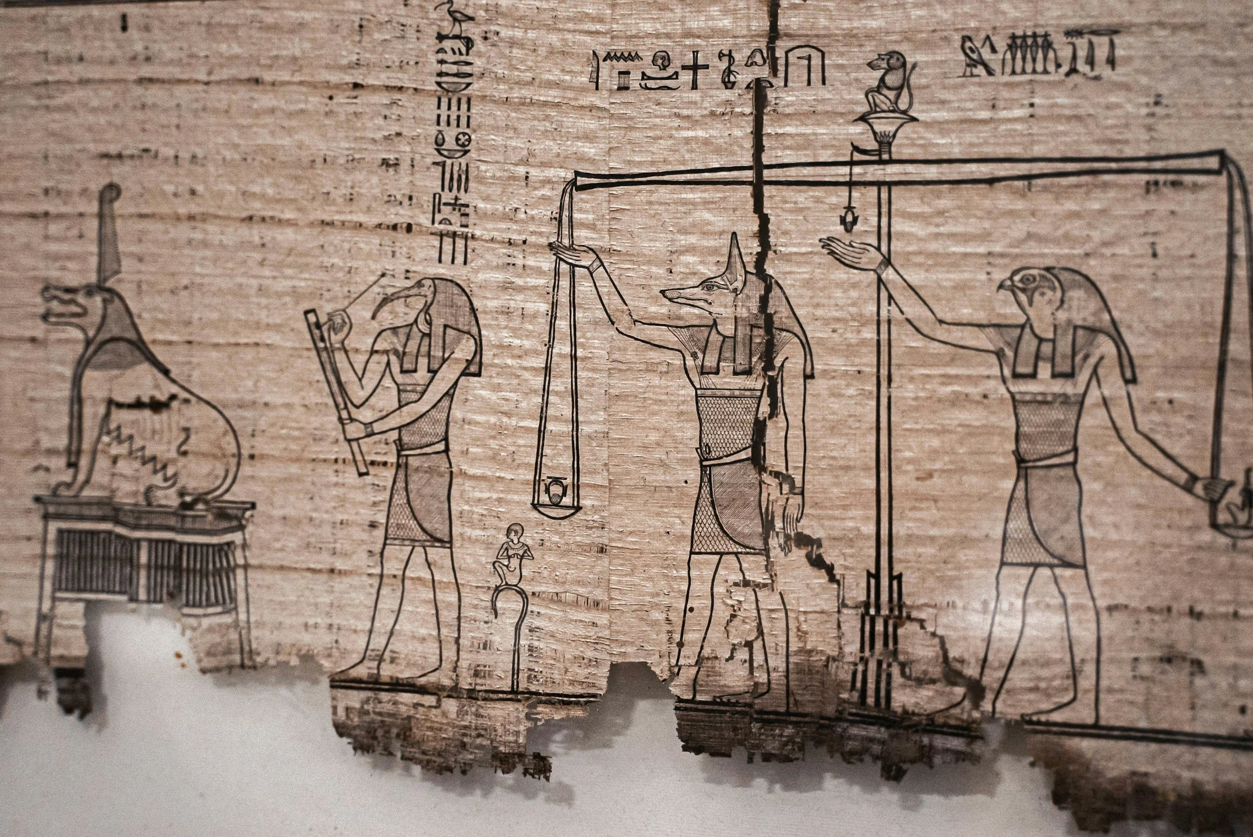 The History of Music: The Sound That Carried Humanity Through Time