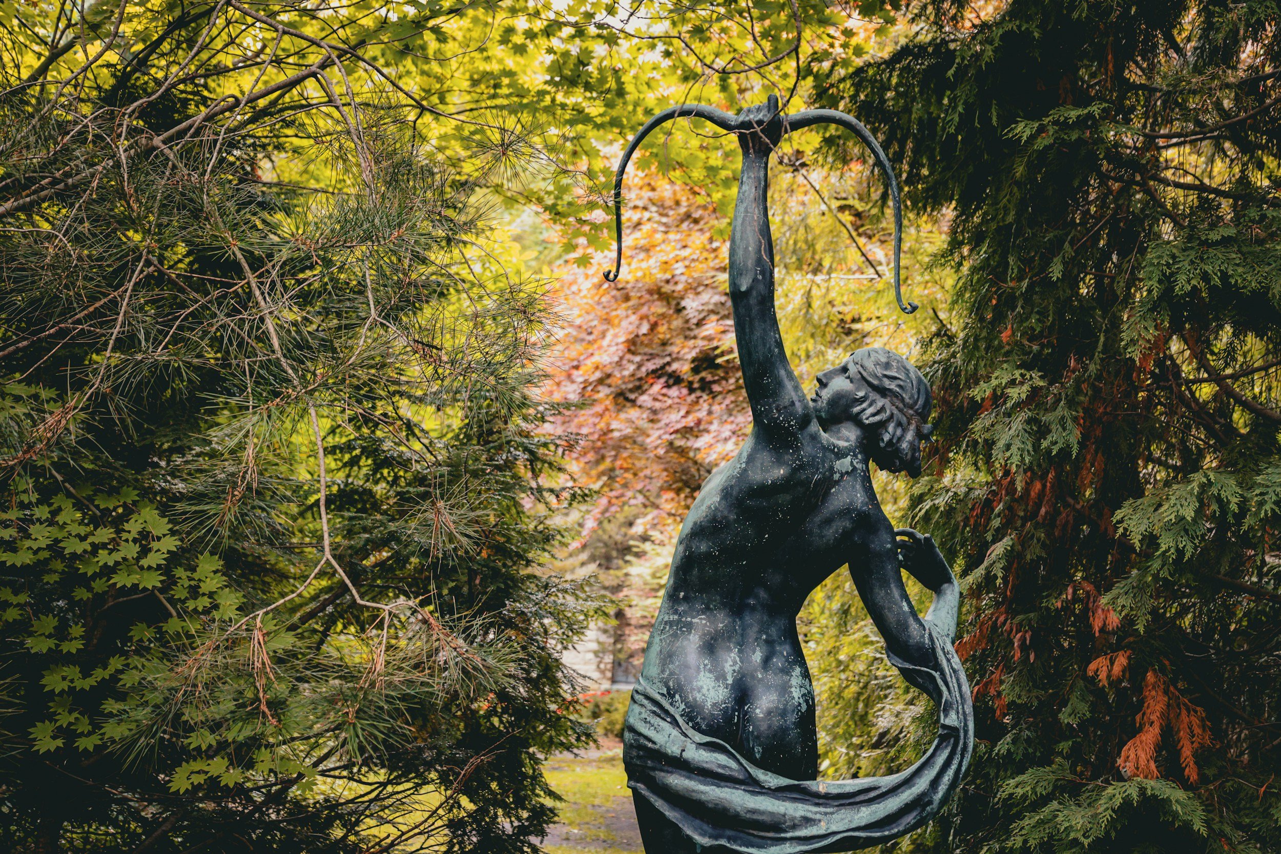 Heart of the Archer