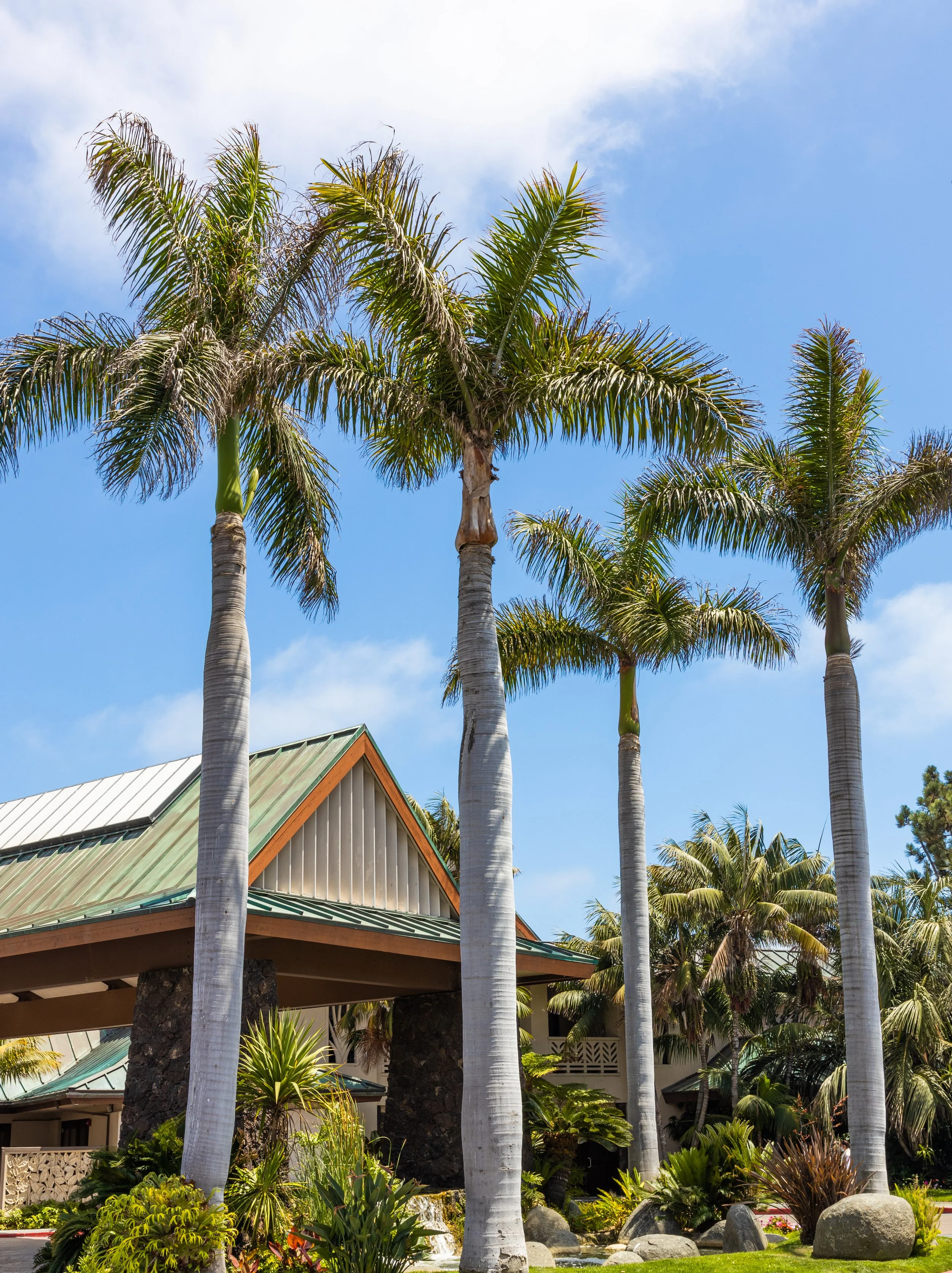 Catamaran Resort Hotel and Spa