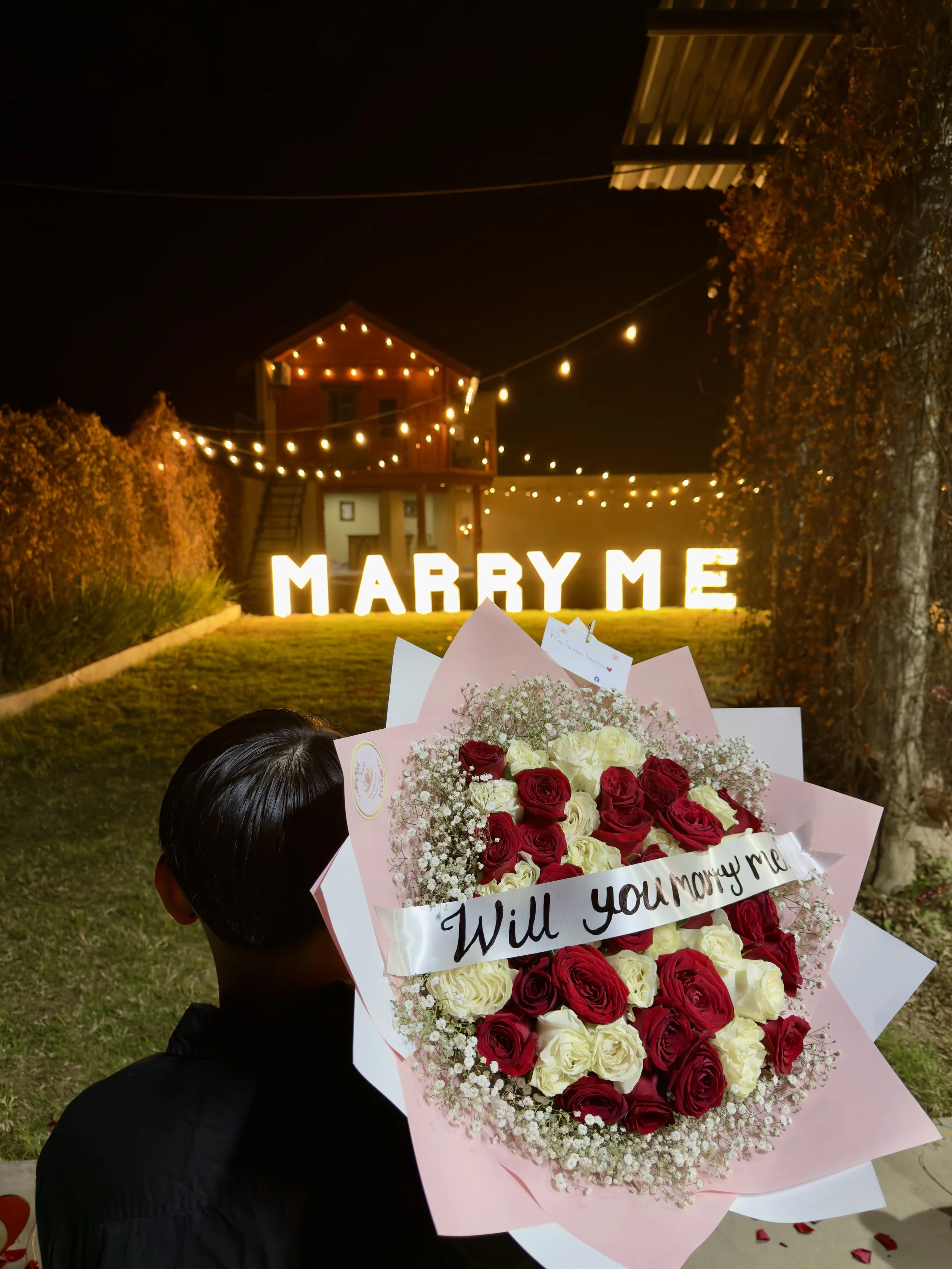 Pedida de Matrimonio