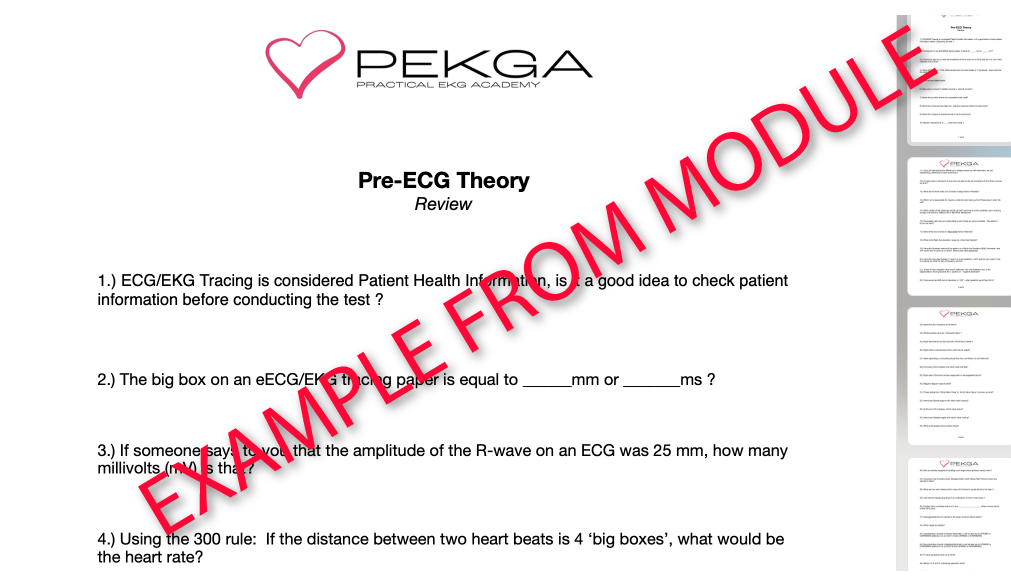 A digital document titled 'Pre-ECG Theory Review' from PEGA Practical ECG Academy, featuring multiple-choice questions about ECG and EKG, with a large red watermark diagonally across the page that says 'EXAMPLE FROM MODULE'.