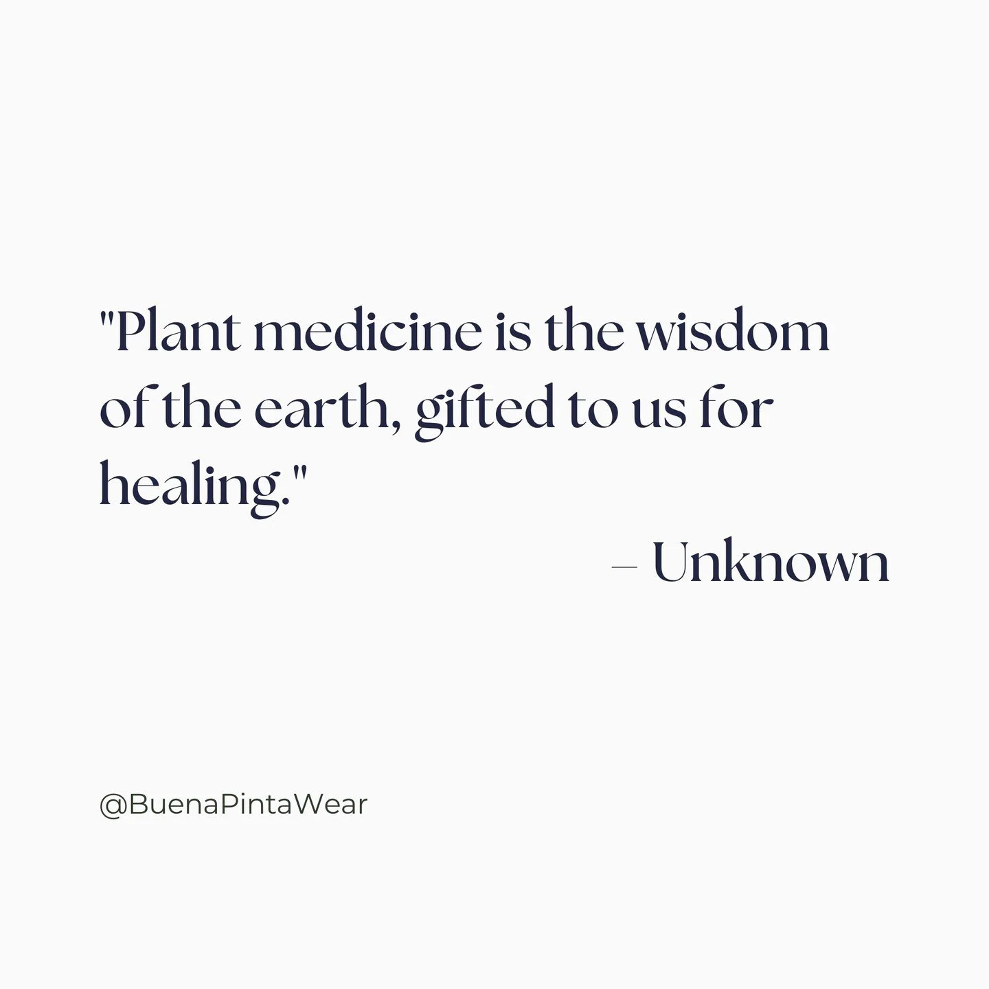 The earth provides us with powerful plant allies, offering healing and guidance. 

Each plant carries its own spirit and teachings, helping us connect more deeply with ourselves and the world around us. 

Honor the plants and trust in their sacred me