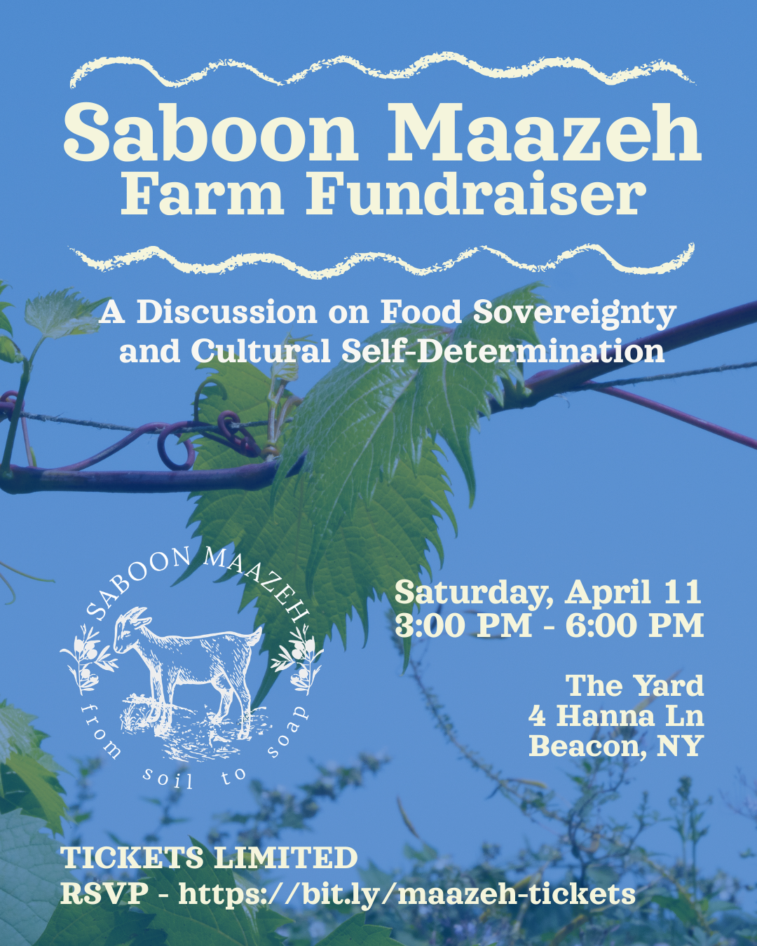 Saboon Maazeh Year Two Fundraiser