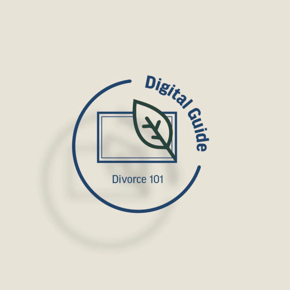 Divorce 101