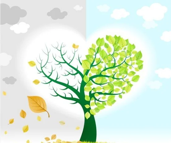 Divorce and Spring: A New Beginning