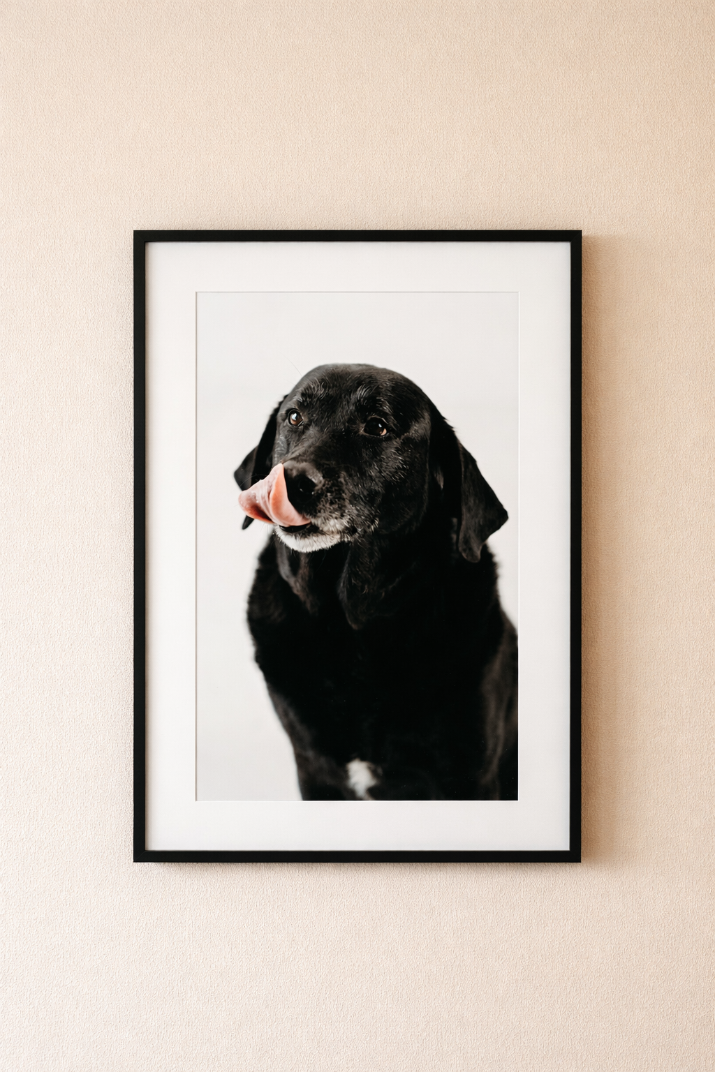 Portrait photographer offering prints at Dunedin, Florida studio  – Jennifer Elizabeth Studios