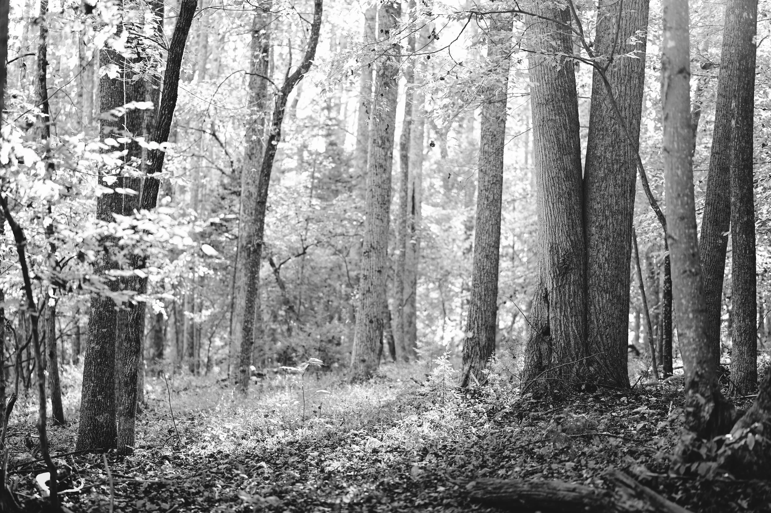 DSC_5613-3.jpg