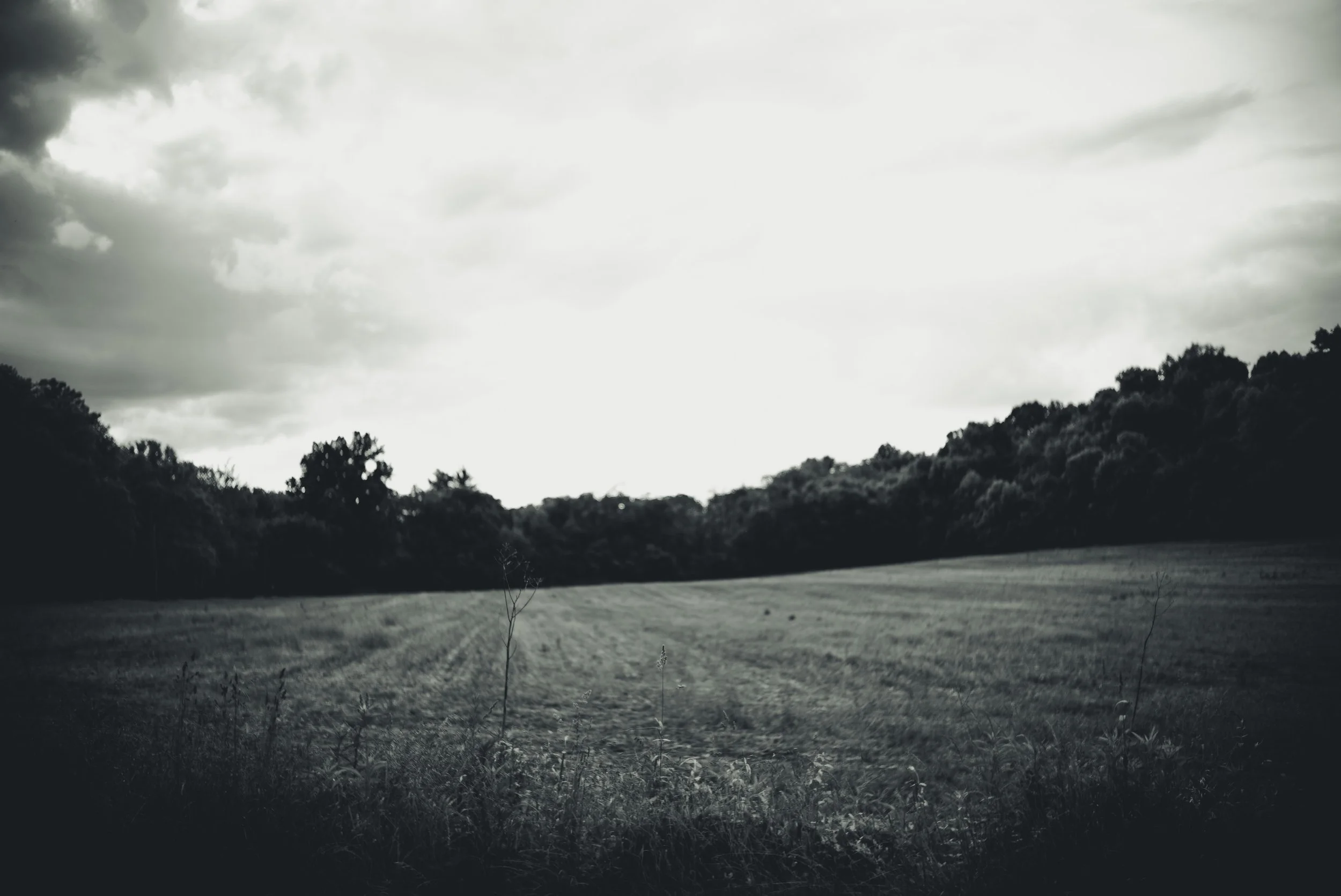 L1003633.jpg