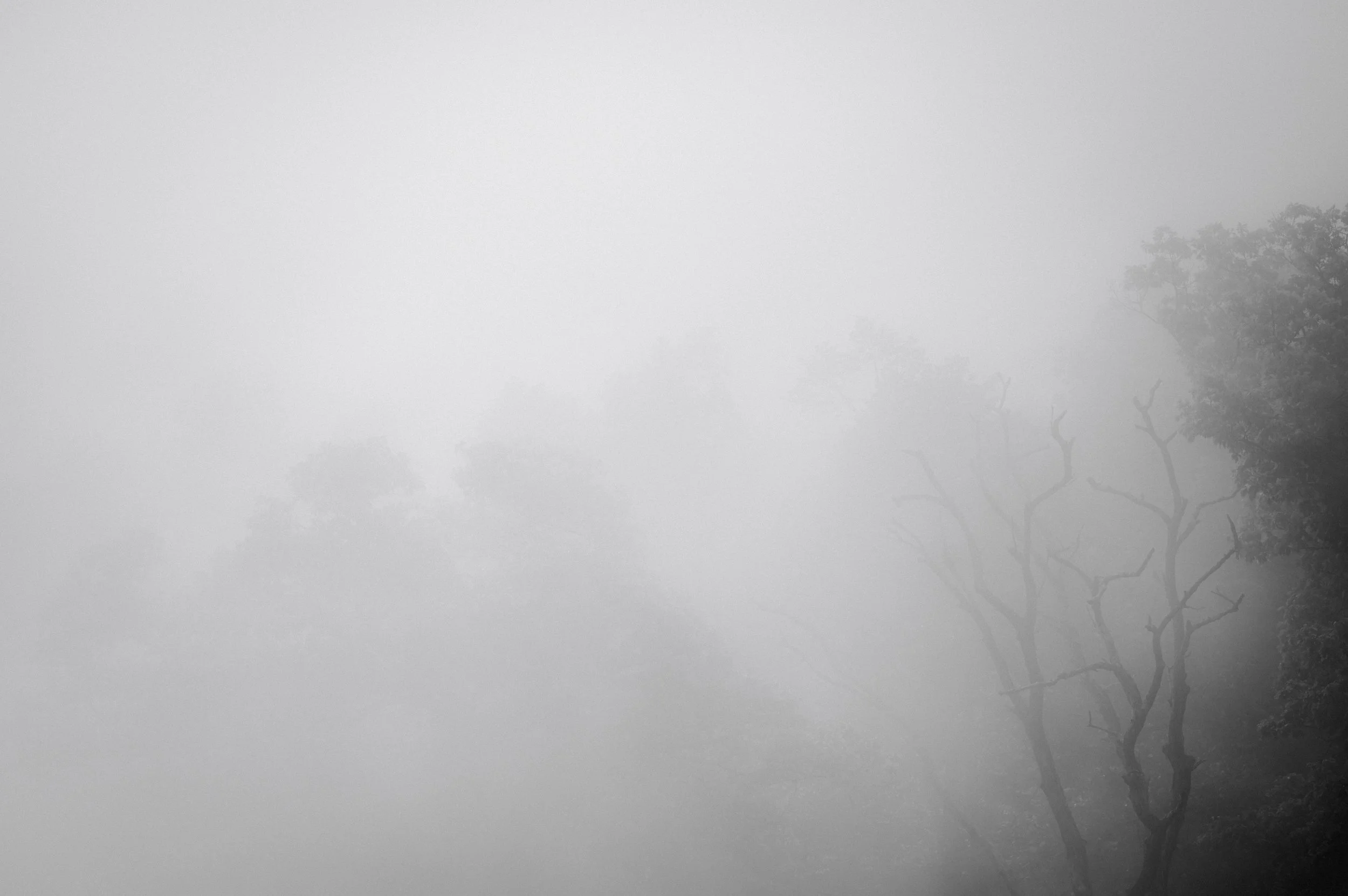 LAS_2761-3.jpg