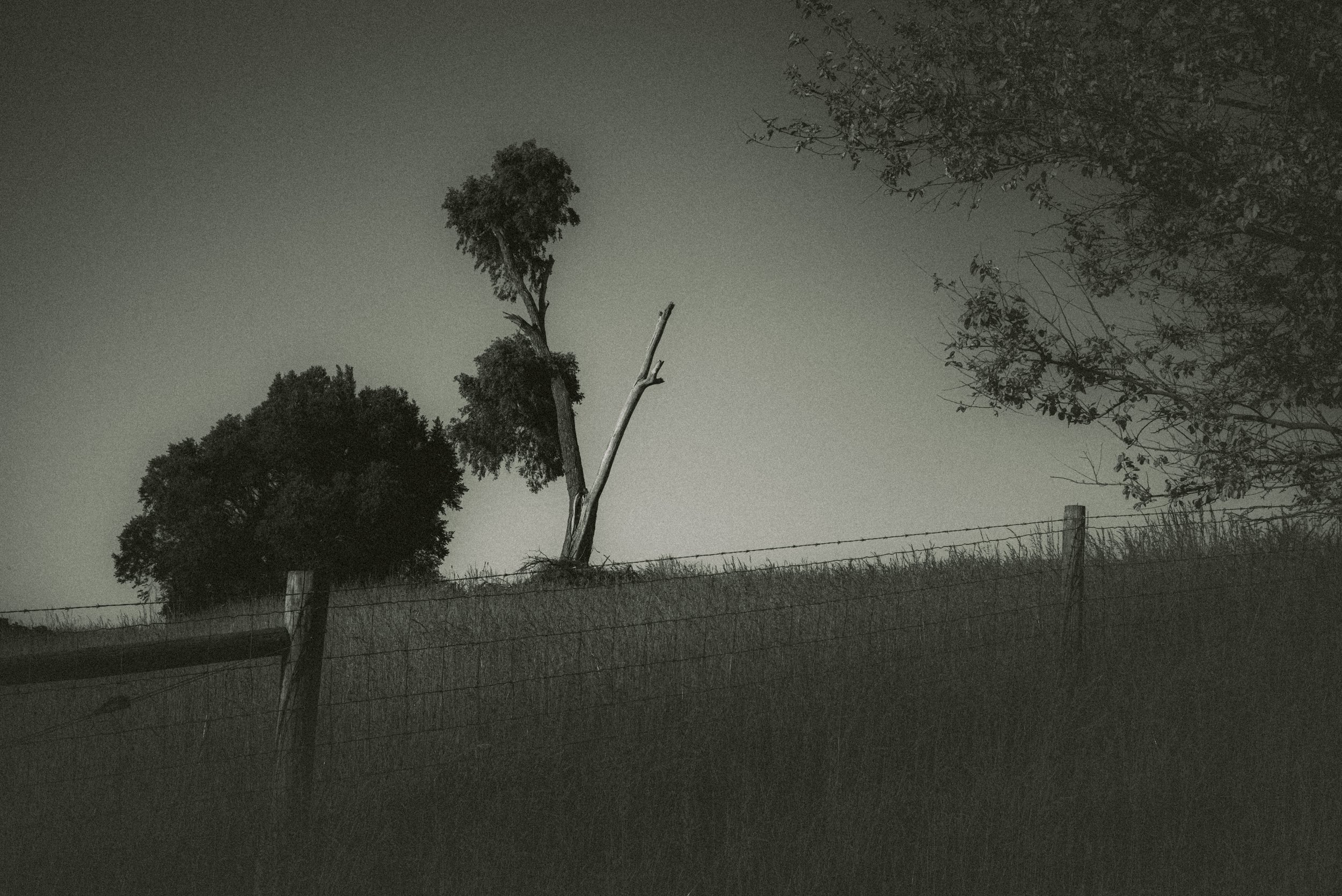 L1003823.jpg