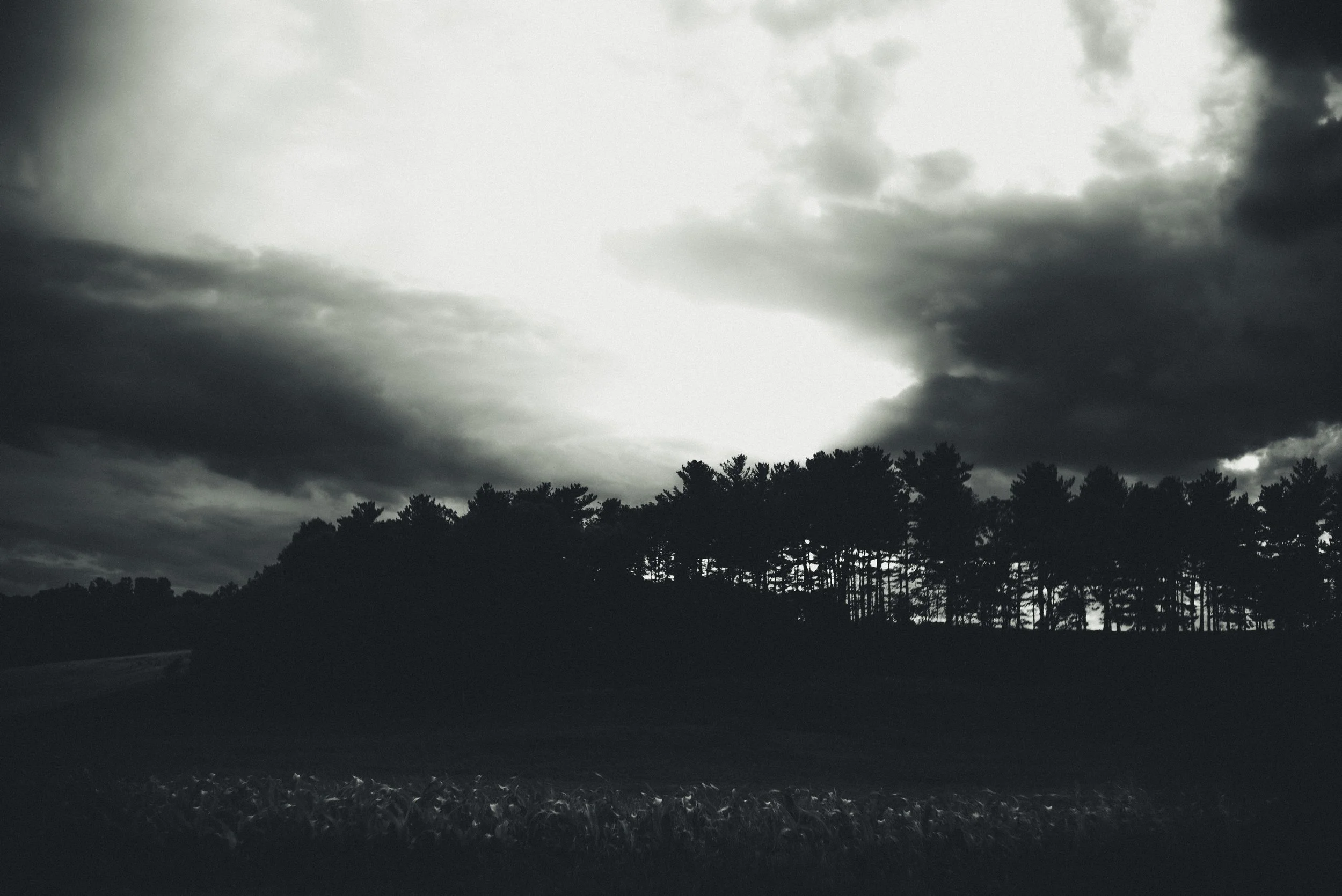 L1003638-2.jpg