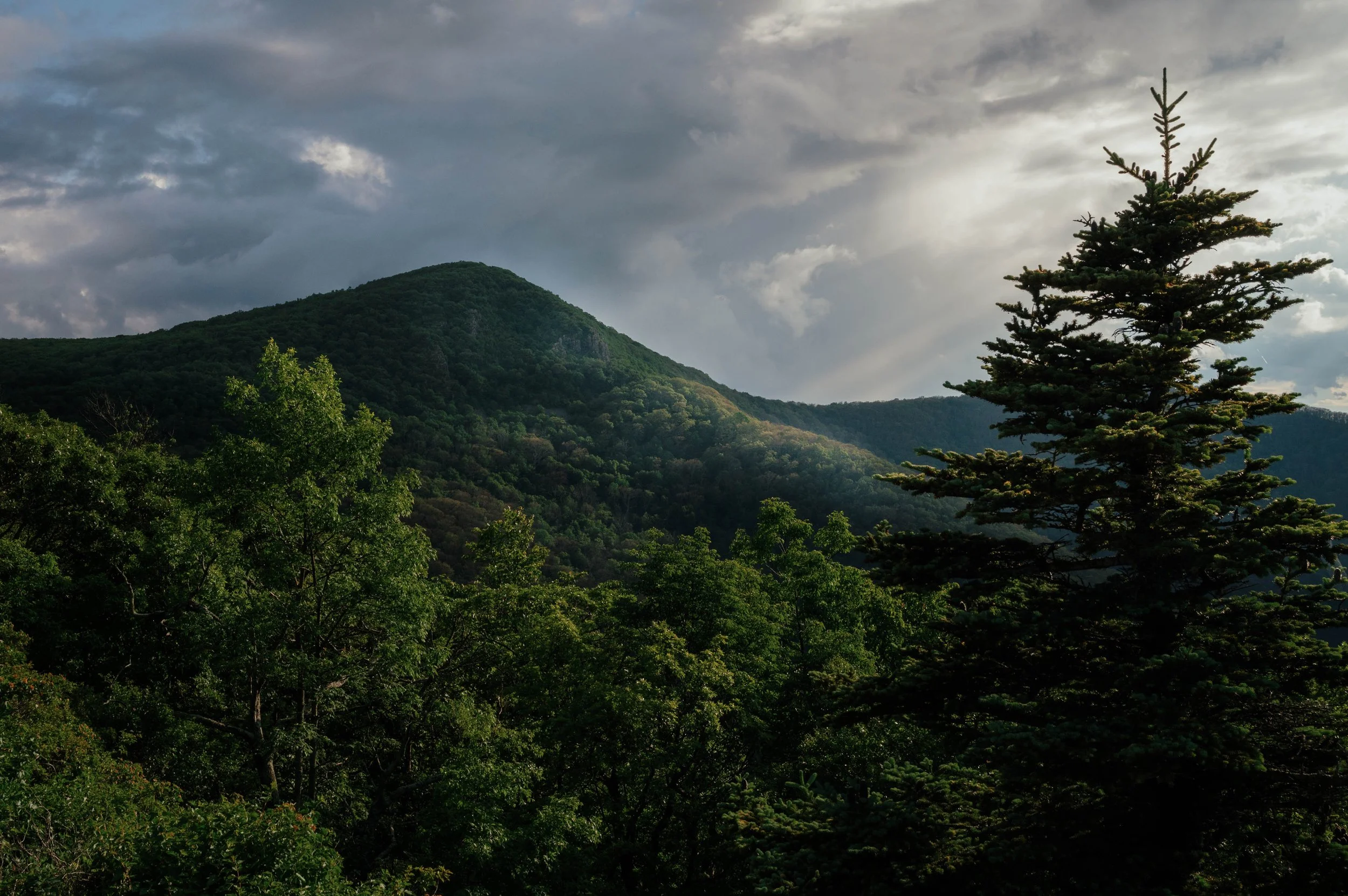 A8BD1793-777A-4BD4-A84A-2A411380C749 2.JPG