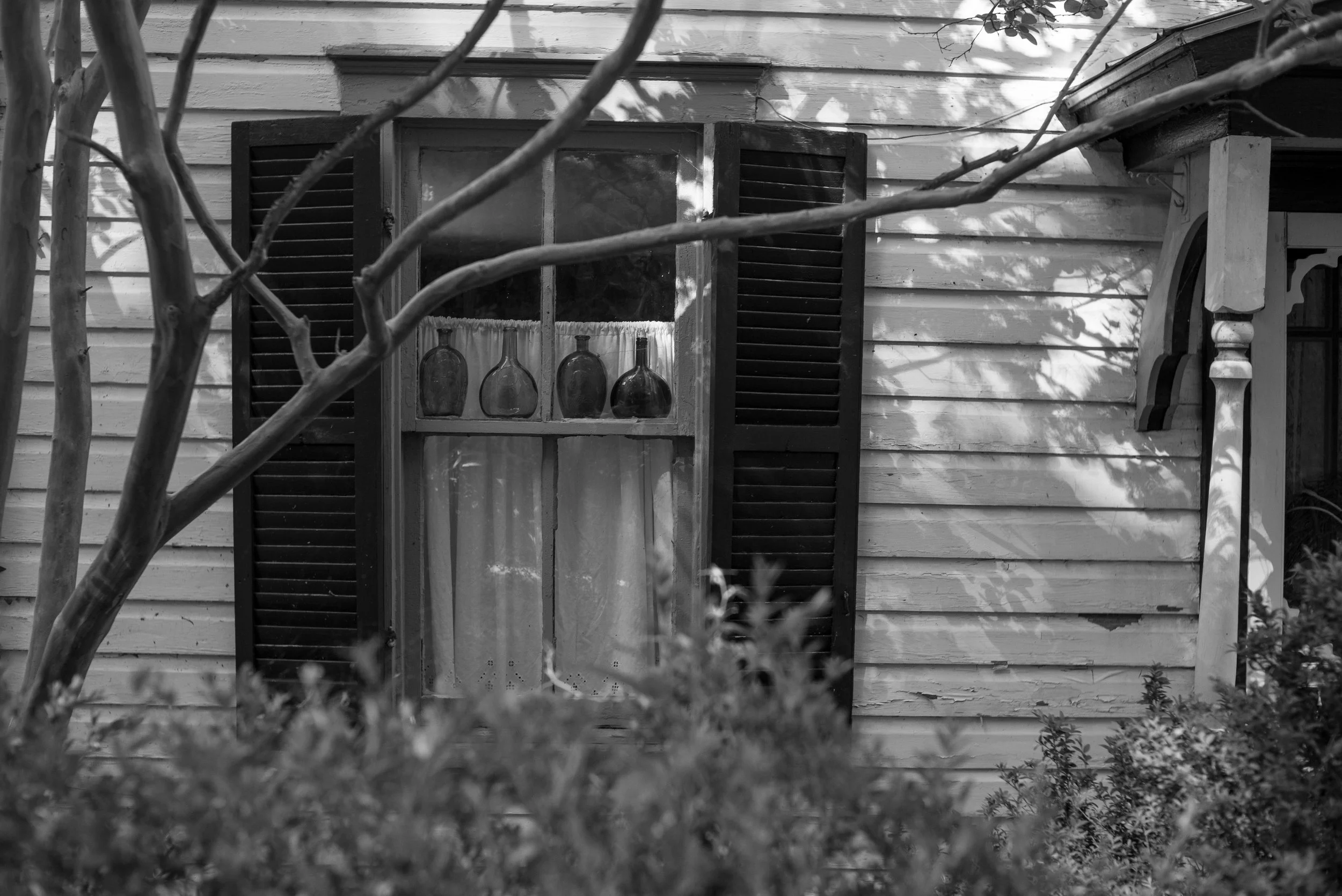 L1003444.jpg