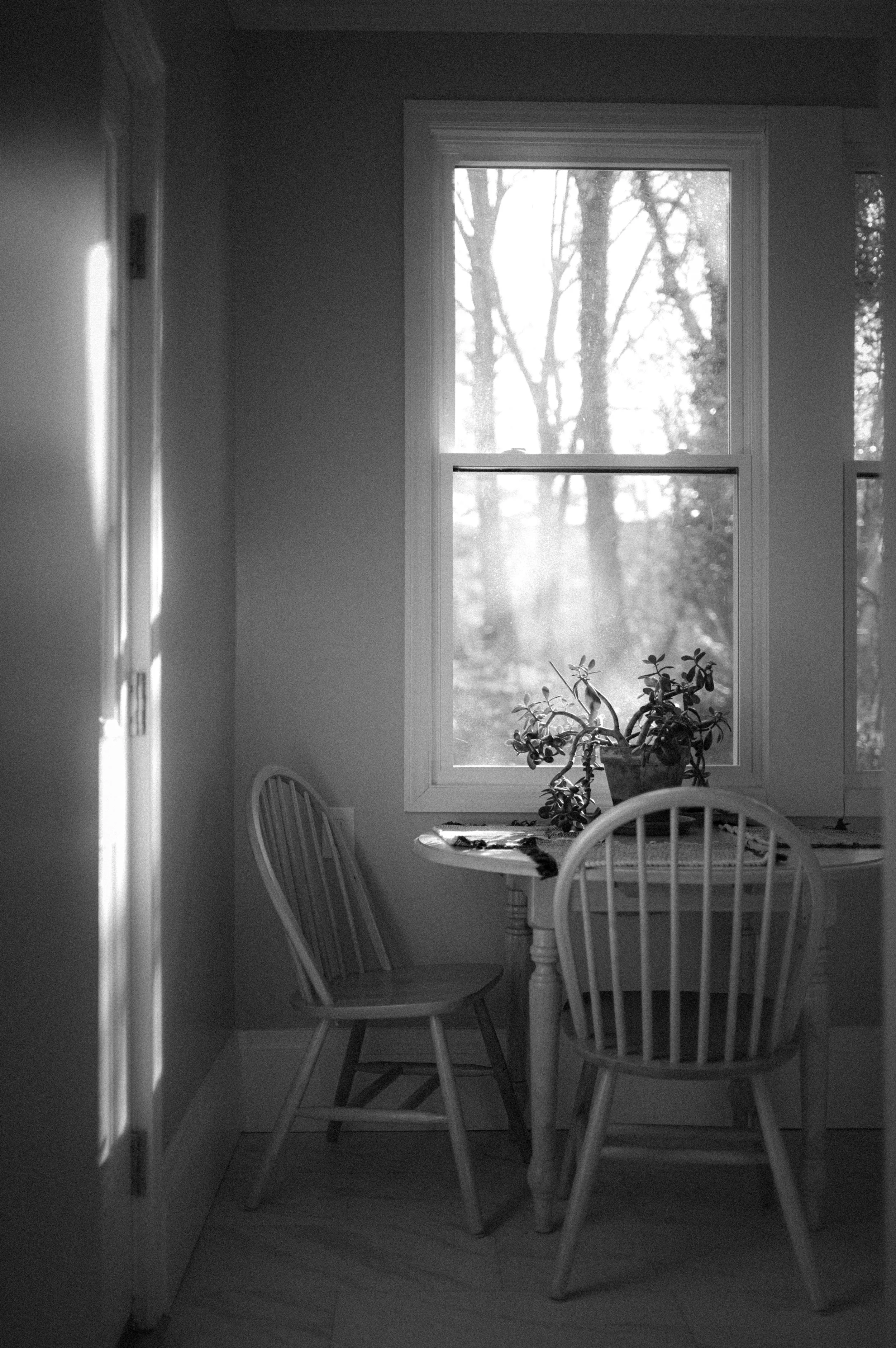 A black and white photo of a cozy dining nook with a round table and two wooden chairs, a potted plant on the table, a window showing trees outside, and sunlight casting shadows across the scene.