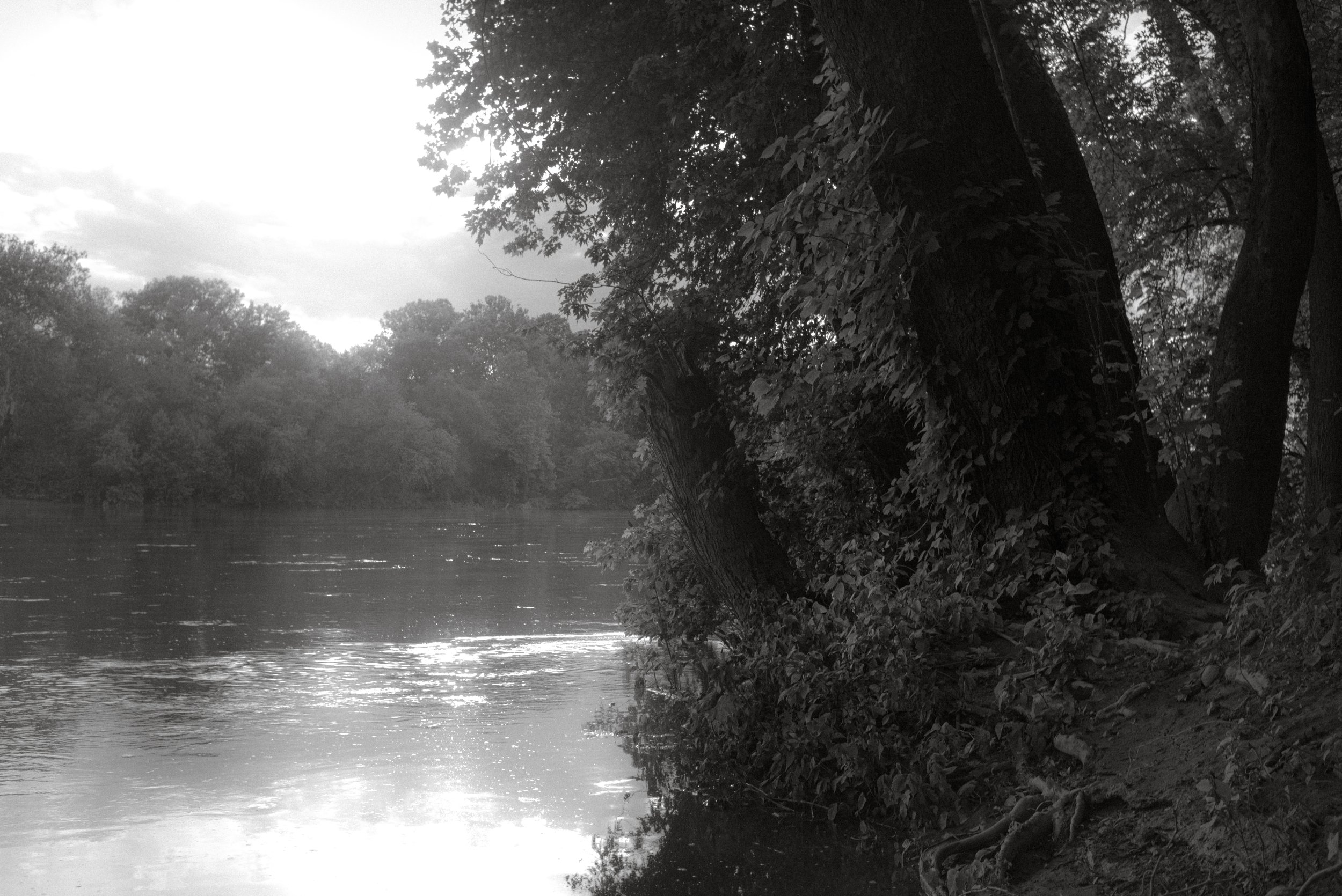L1003565.jpg