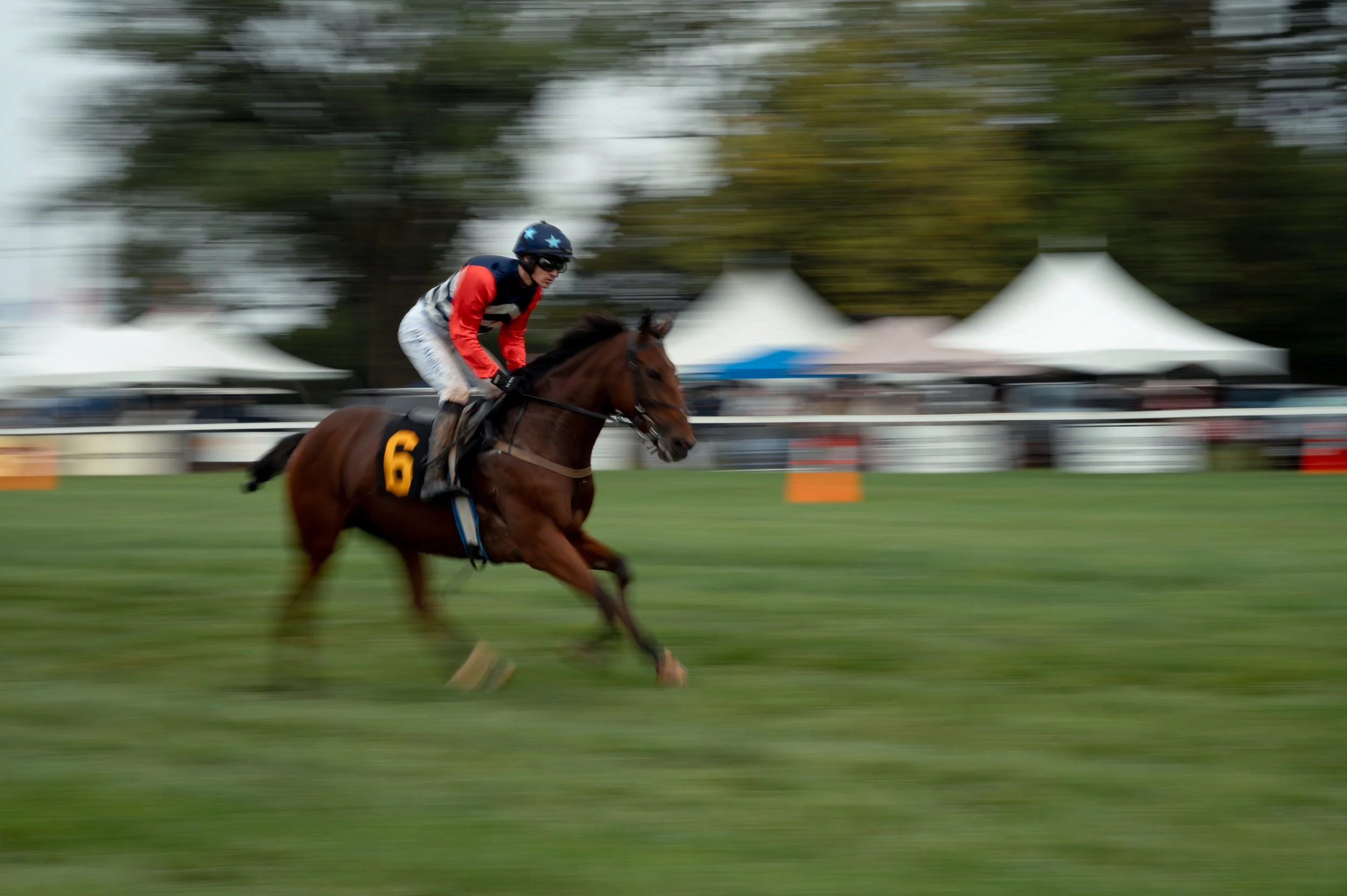 Jockeys ride their horses toward the starting line after being saddled before a race.