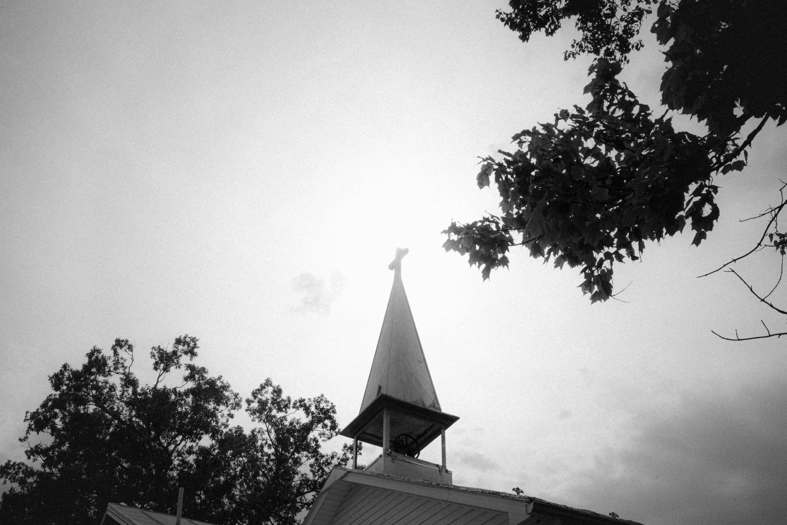 L1001644.jpg