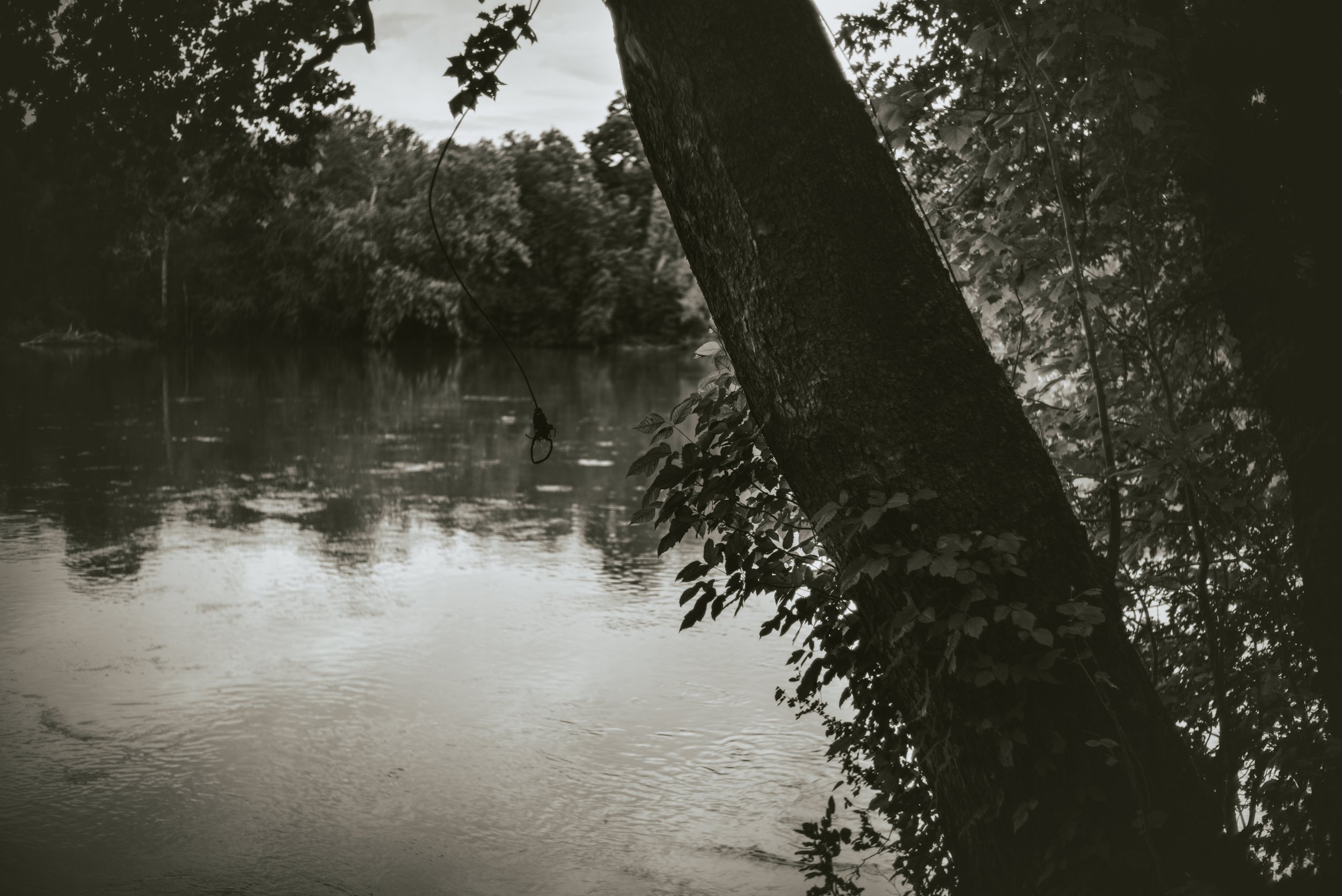 L1003631.jpg