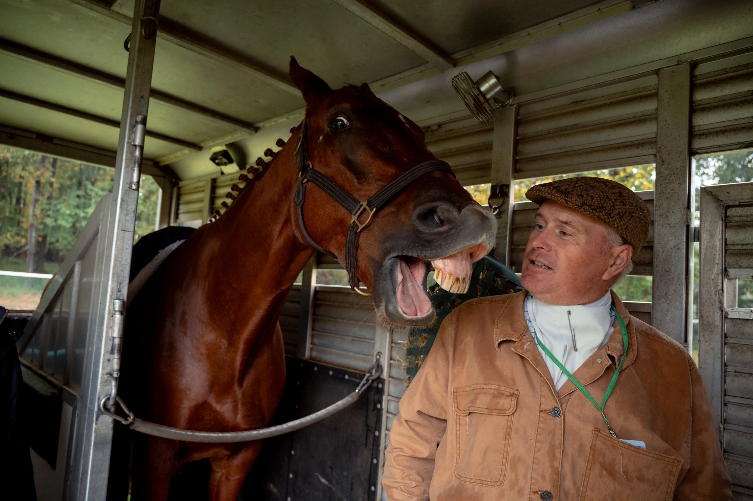 A trainer spends a quiet moment with his horse before getting dressed in traditional red attire ahead of the Foxfield Fall Races on Sunday, Oct. 4, 2026, in Albemarle County, Va.