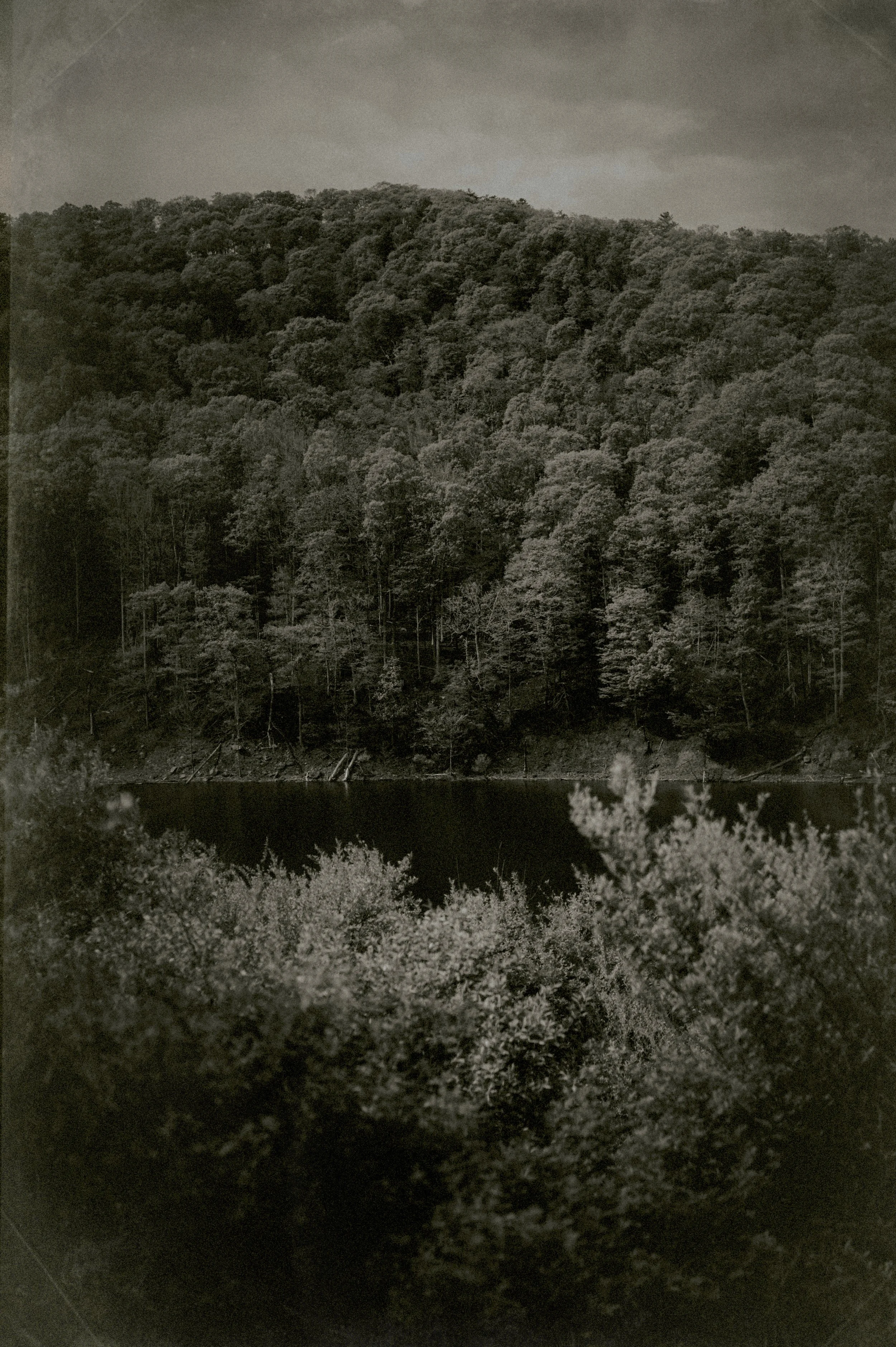 LAS_3172 copy.jpg