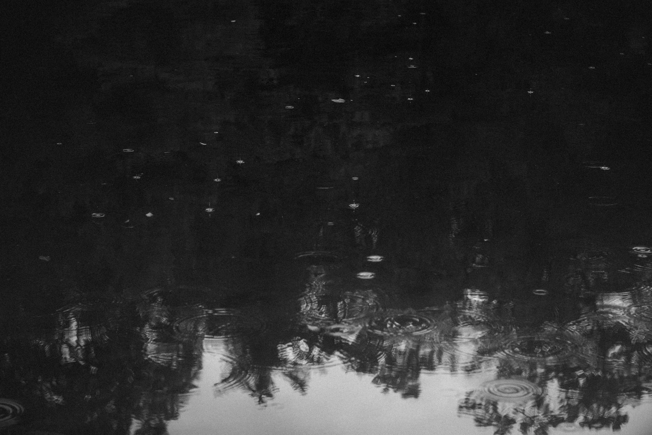 L1001522.jpg